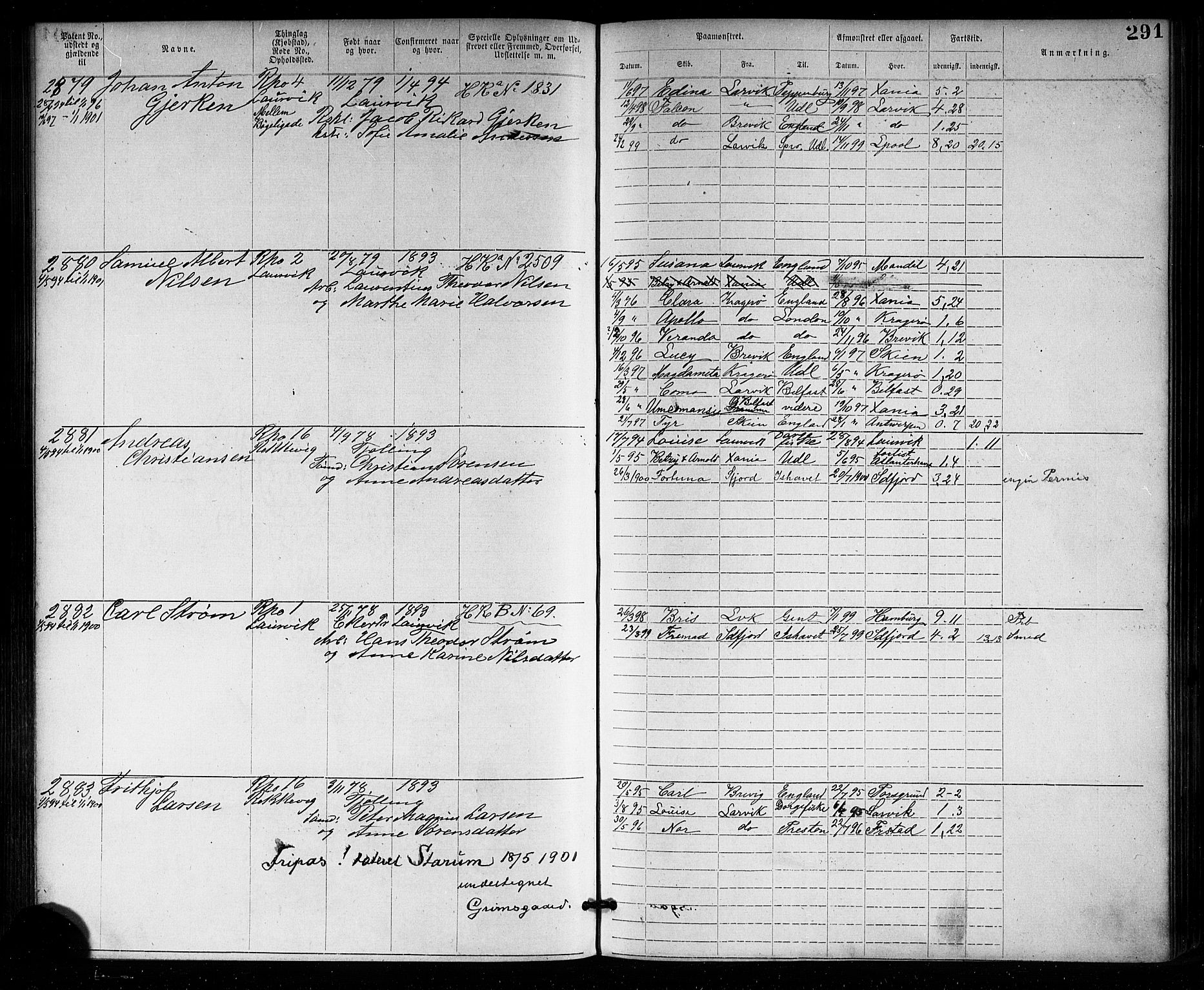 Larvik innrulleringskontor, AV/SAKO-A-787/F/Fb/L0001: Annotasjonsrulle, 1876-1904, p. 291
