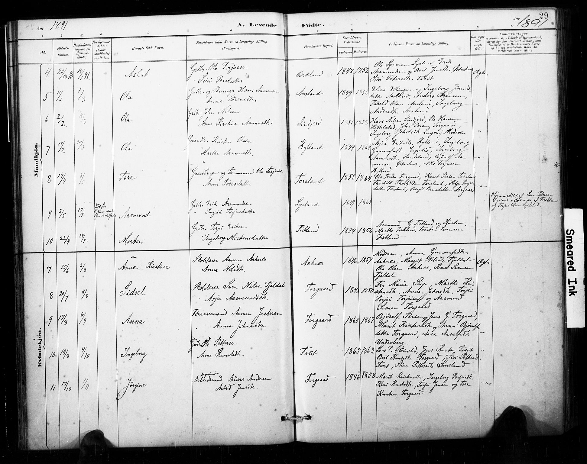 Åseral sokneprestkontor, AV/SAK-1111-0051/F/Fa/L0003: Parish register (official) no. A 3, 1884-1901, p. 29