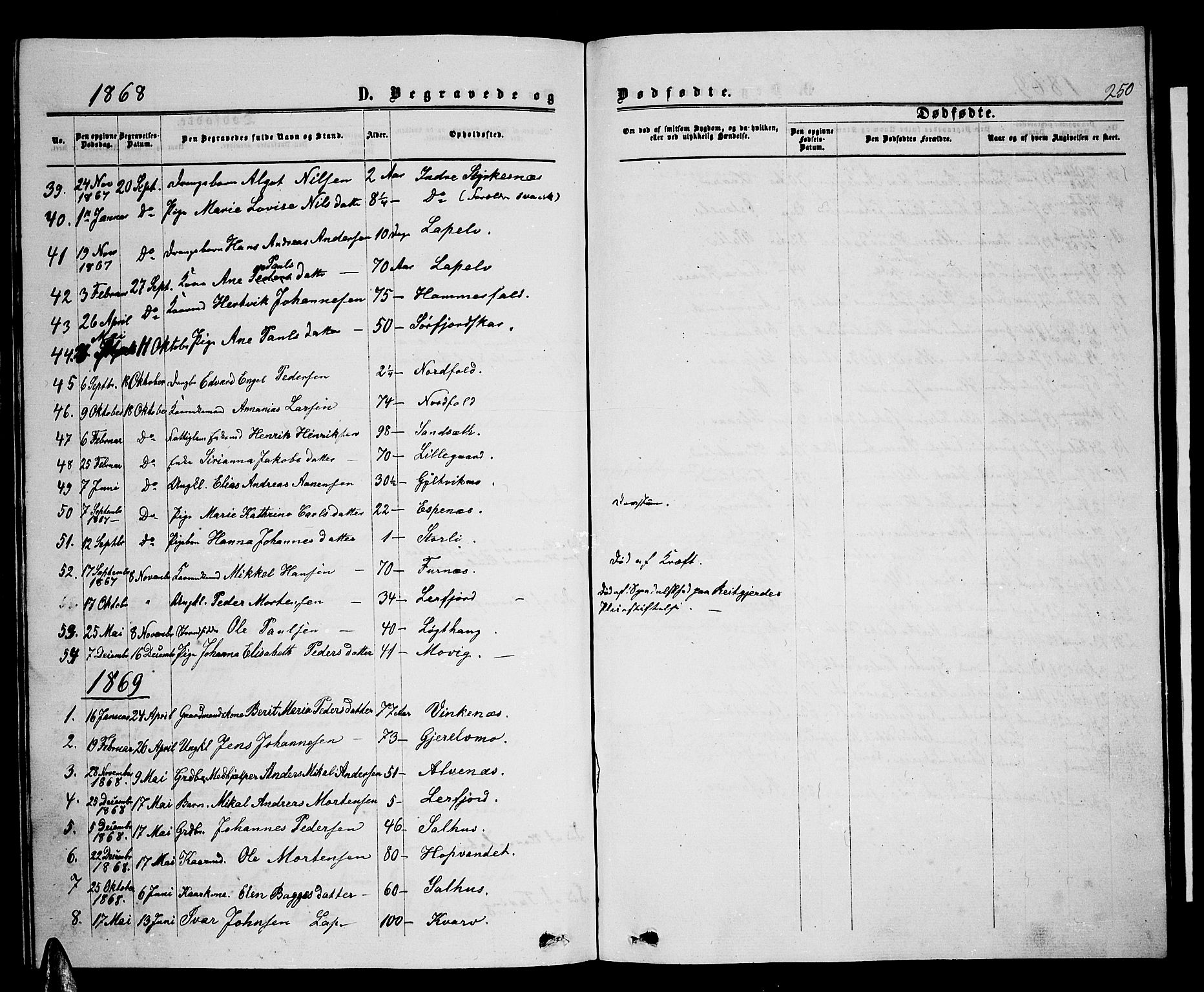 Ministerialprotokoller, klokkerbøker og fødselsregistre - Nordland, AV/SAT-A-1459/853/L0775: Parish register (copy) no. 853C03, 1859-1877, p. 250