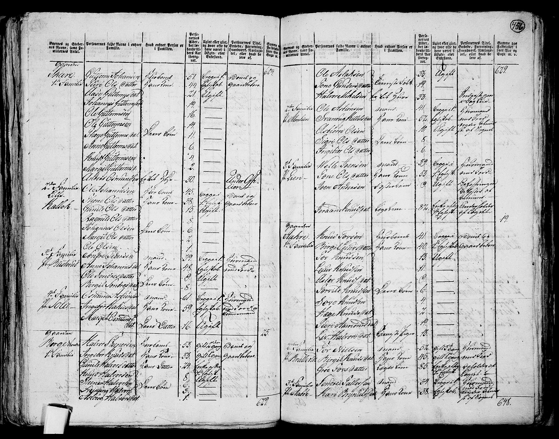 RA, 1801 census for 0829P Kviteseid, 1801, p. 455b-456a