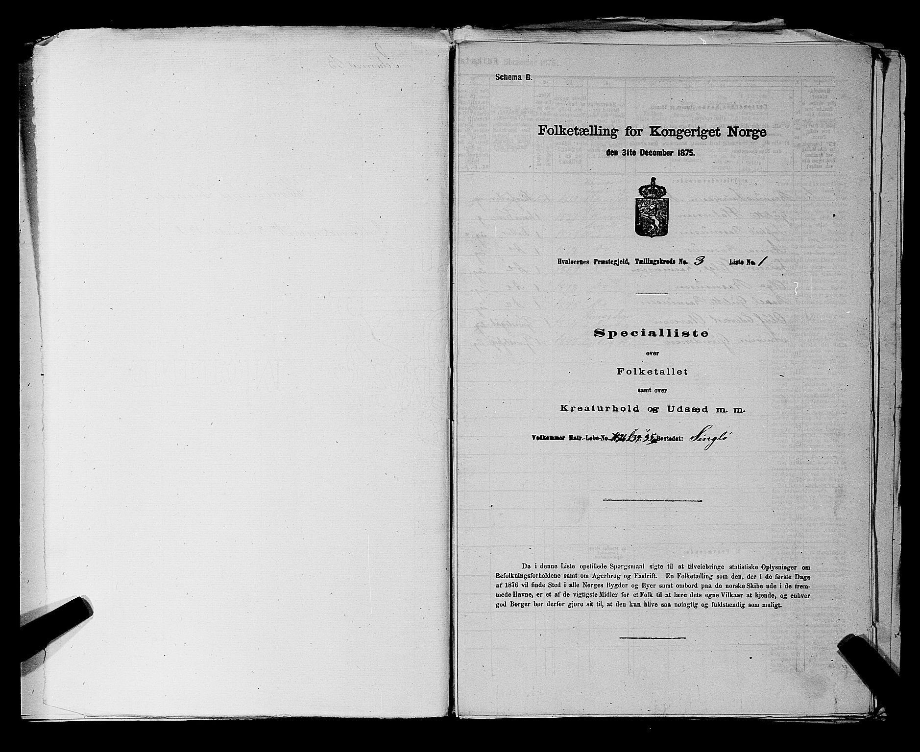 RA, 1875 census for 0111P Hvaler, 1875, p. 551