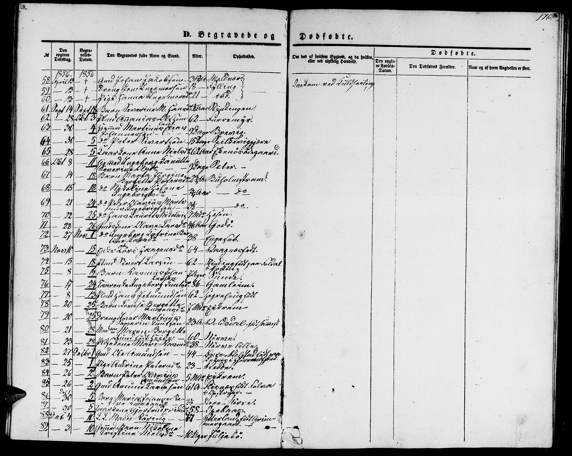 Ministerialprotokoller, klokkerbøker og fødselsregistre - Møre og Romsdal, AV/SAT-A-1454/528/L0427: Parish register (copy) no. 528C08, 1855-1864, p. 176