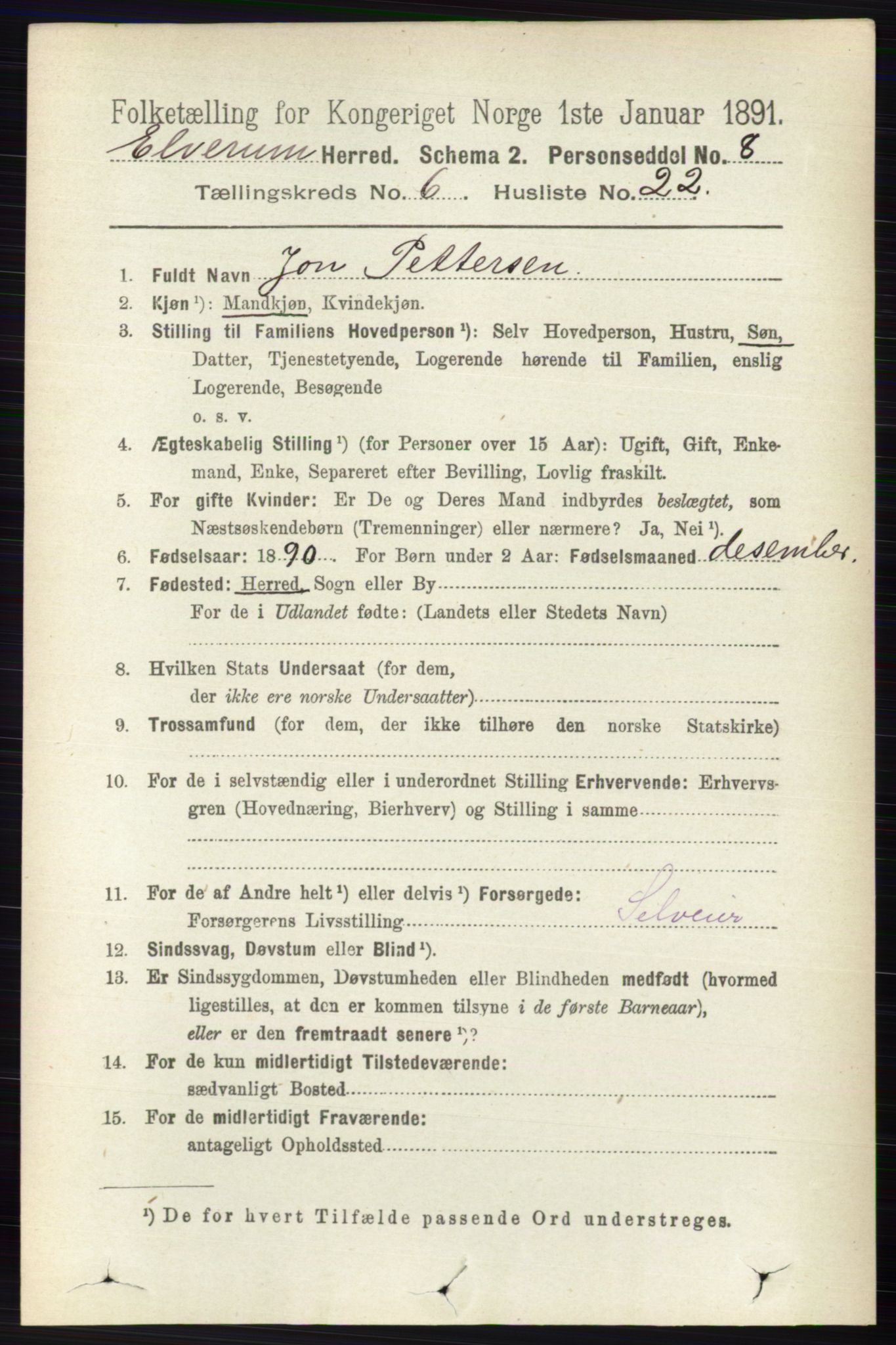 RA, 1891 census for 0427 Elverum, 1891, p. 4484