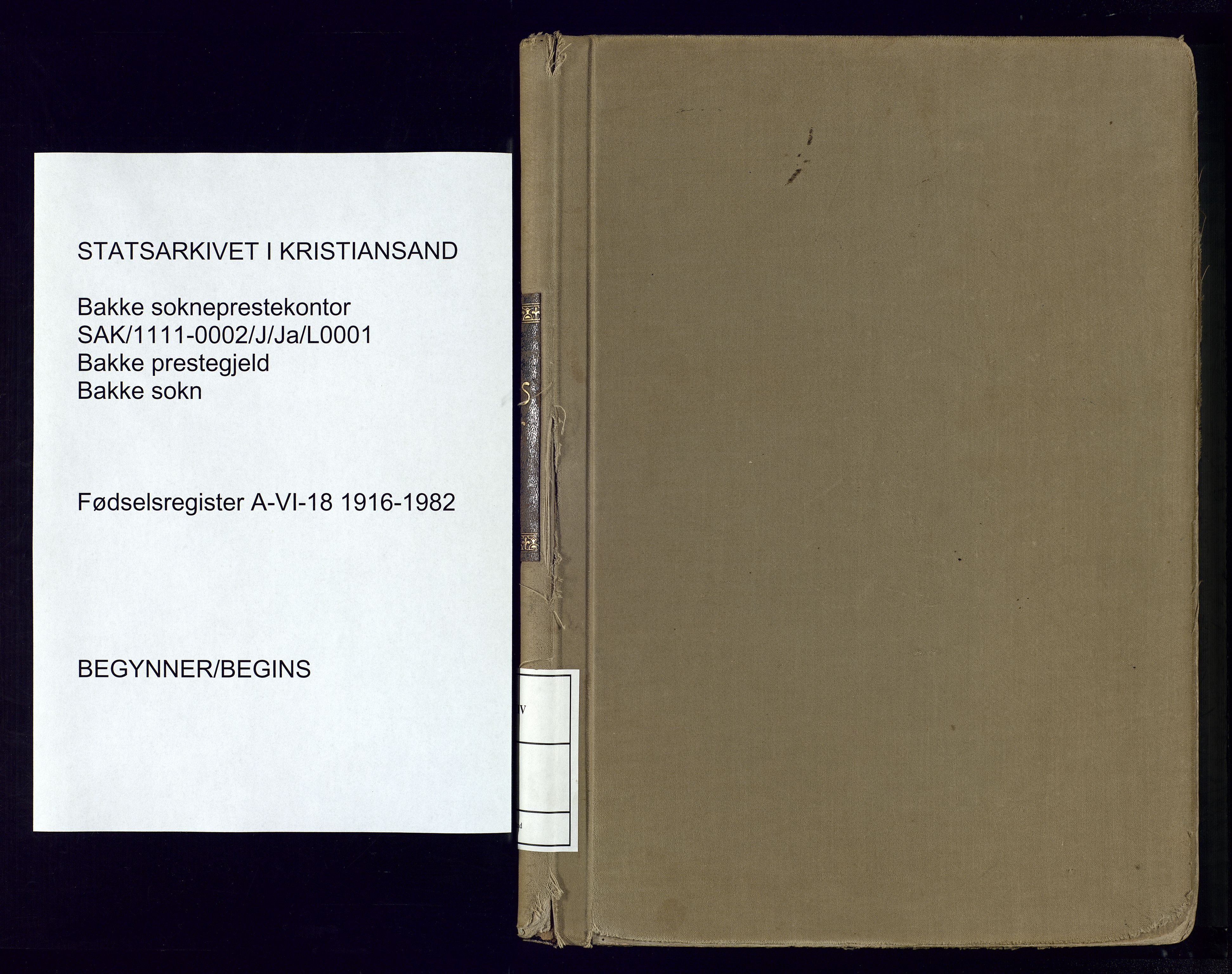 Bakke sokneprestkontor, SAK/1111-0002/J/Ja/L0001: Birth register no. A-VI-18, 1916-1982