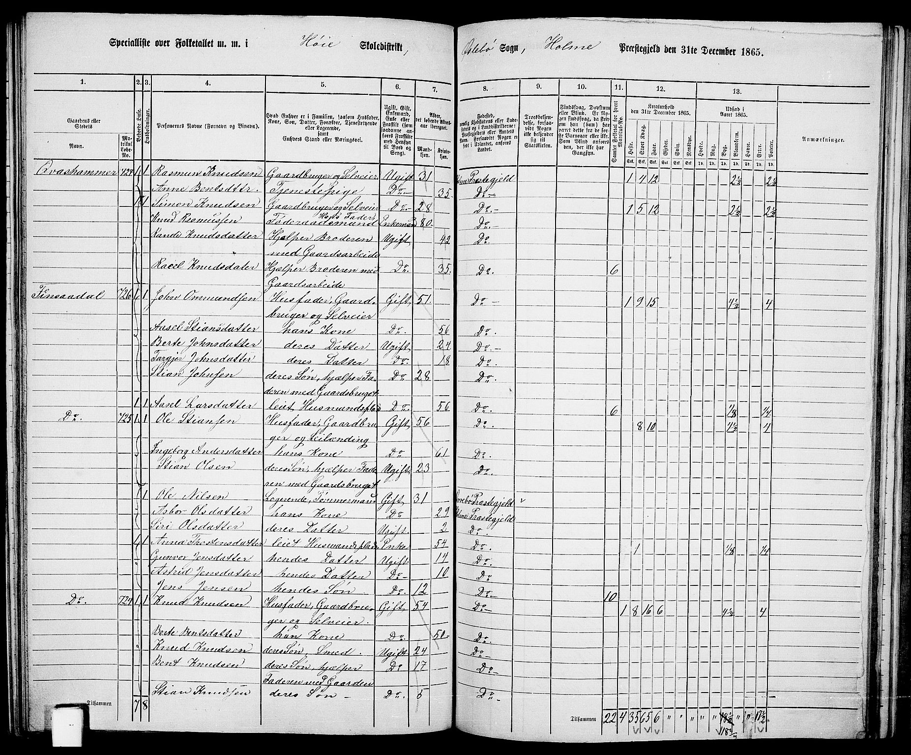 RA, 1865 census for Holum, 1865, p. 129