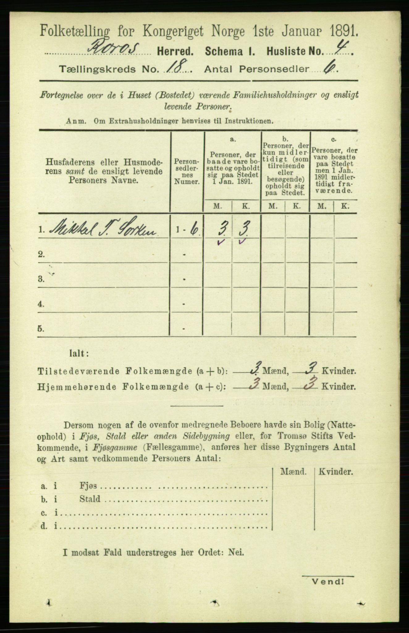 RA, 1891 census for 1640 Røros, 1891, p. 4804