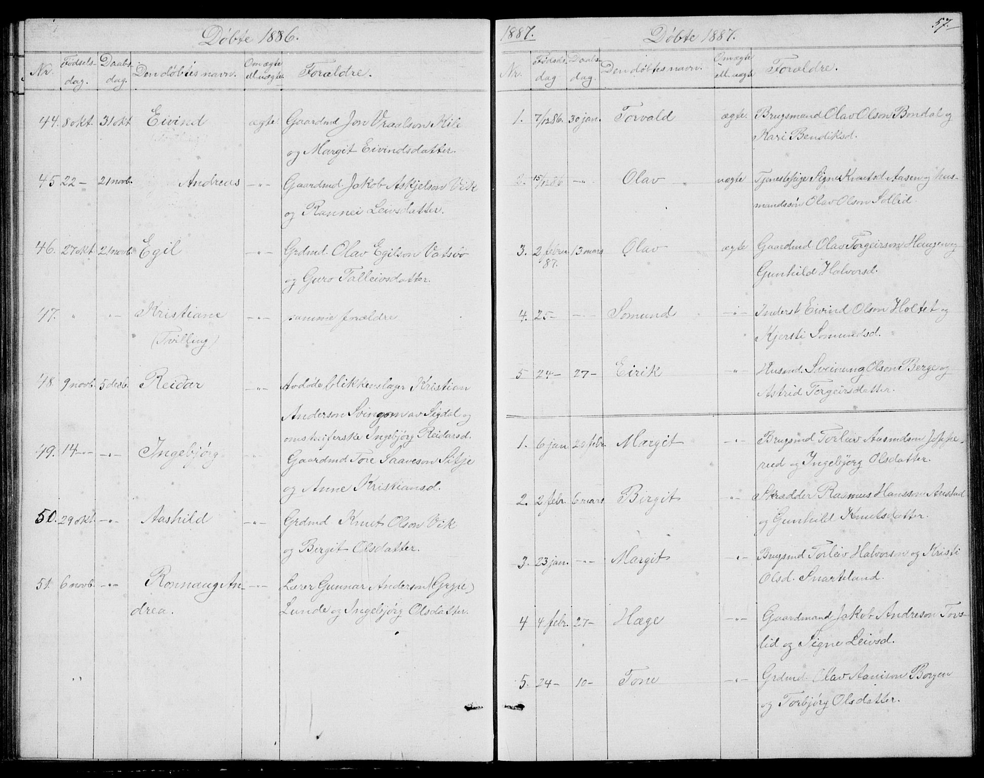 Fyresdal kirkebøker, SAKO/A-263/G/Ga/L0004: Parish register (copy) no. I 4, 1864-1892, p. 57