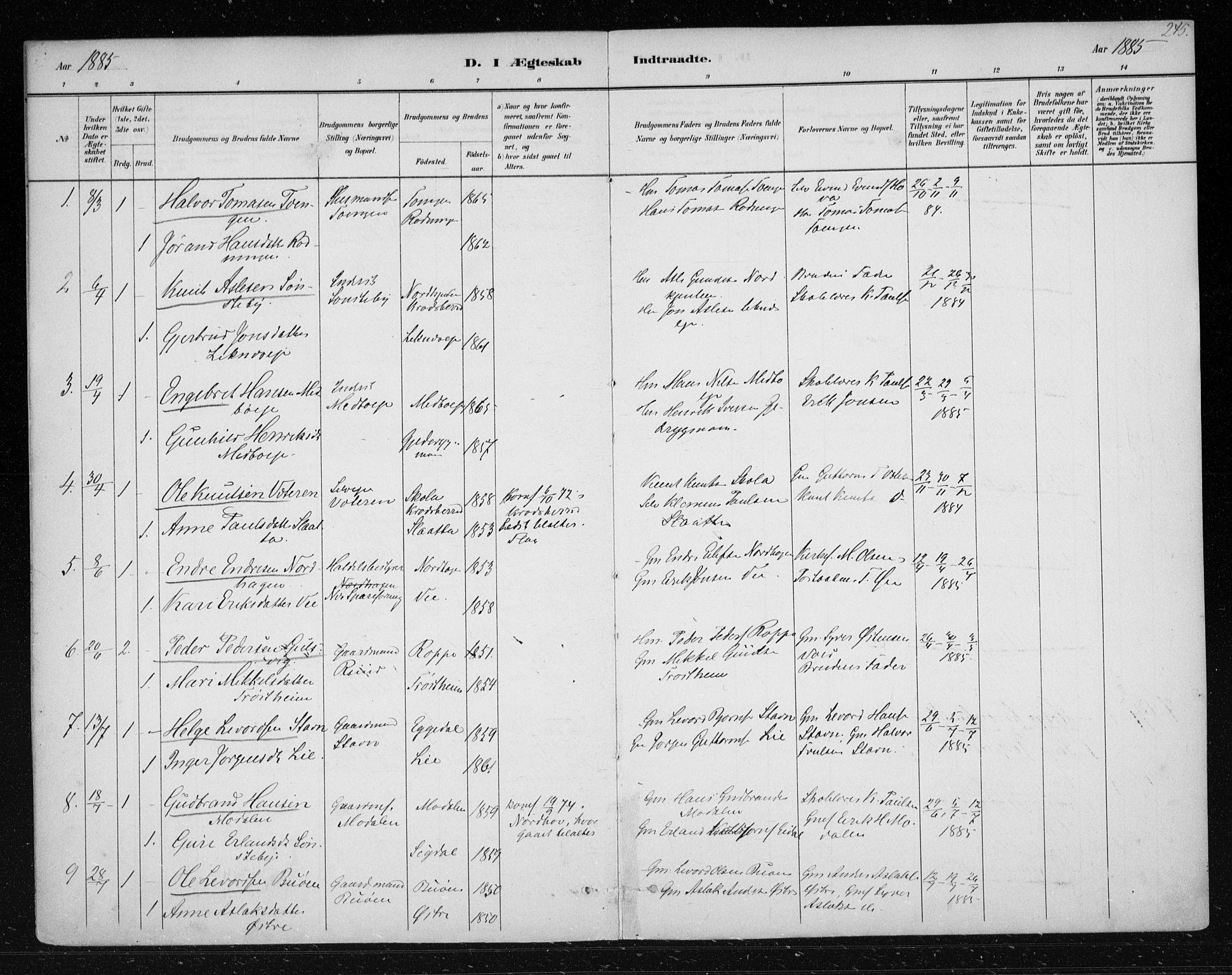 Nes kirkebøker, SAKO/A-236/F/Fa/L0012: Parish register (official) no. 12, 1881-1917, p. 245