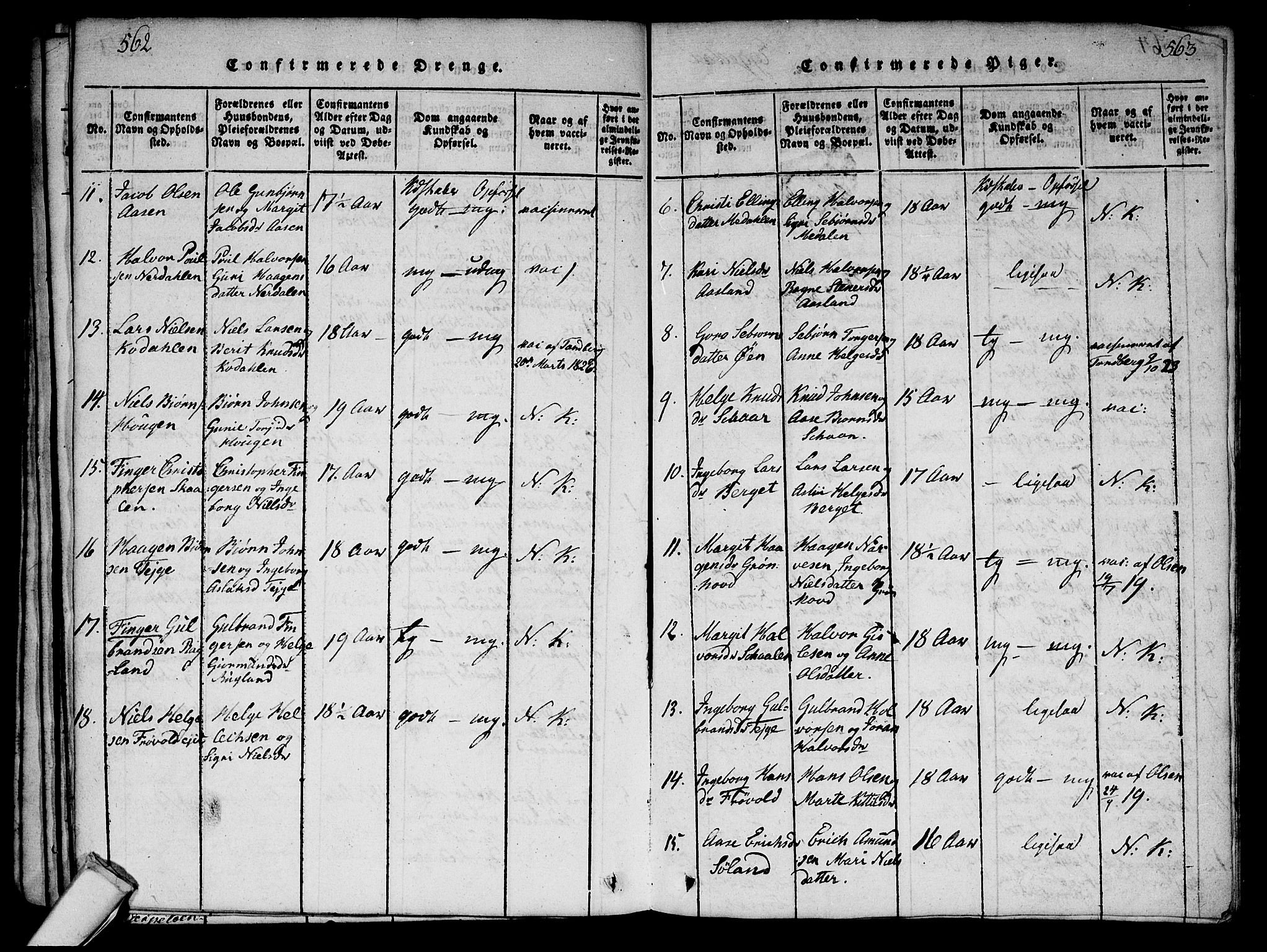 Sigdal kirkebøker, AV/SAKO-A-245/G/Ga/L0001: Parish register (copy) no. I 1 /2, 1816-1835, p. 562-563