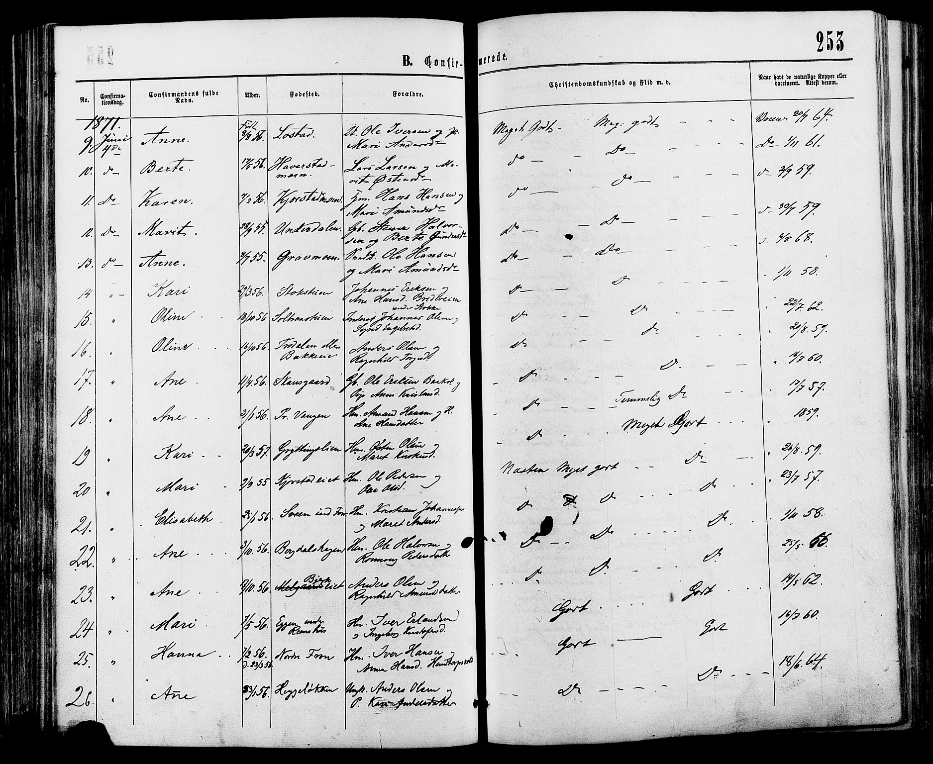 Sør-Fron prestekontor, AV/SAH-PREST-010/H/Ha/Haa/L0002: Parish register (official) no. 2, 1864-1880, p. 253