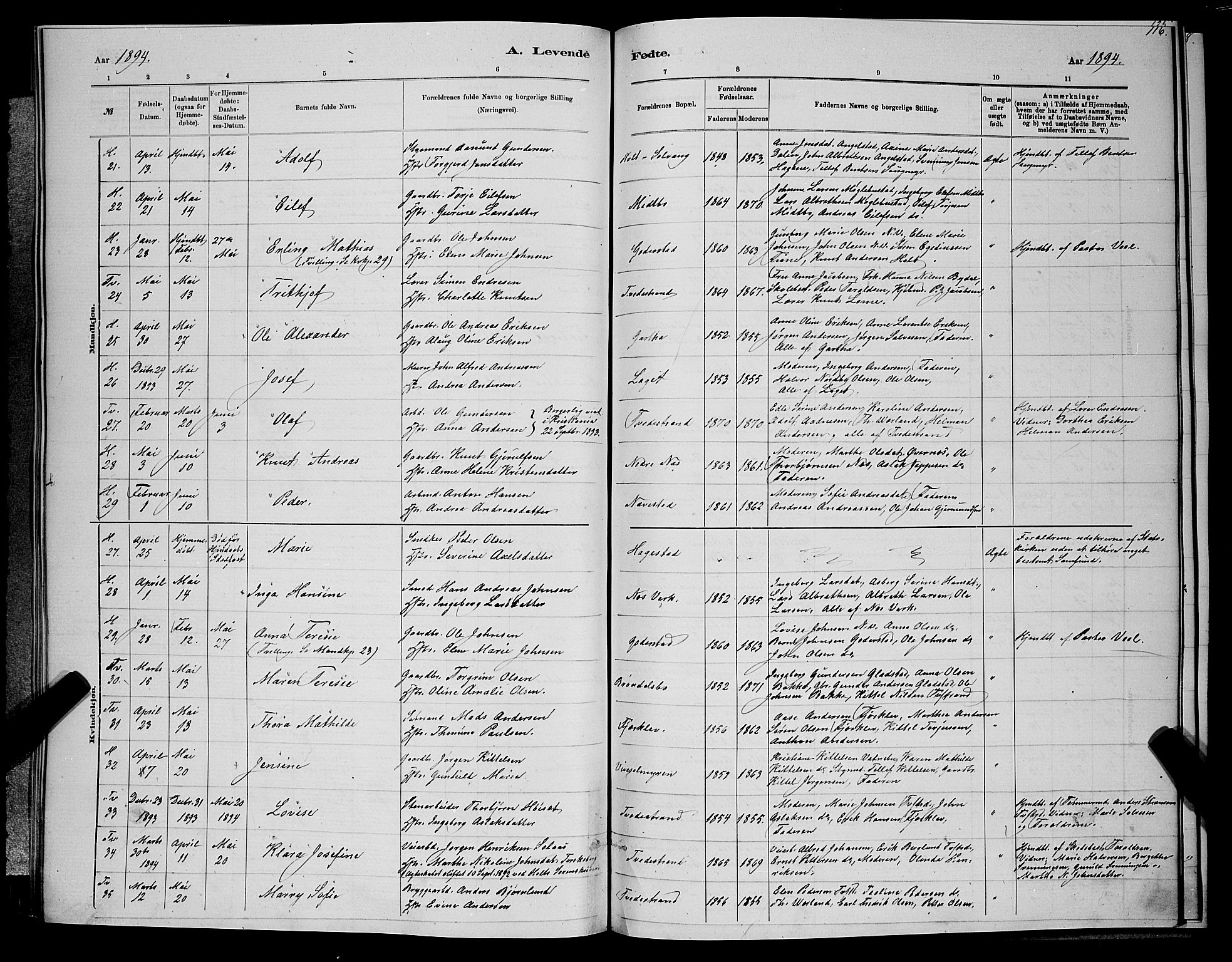 Holt sokneprestkontor, AV/SAK-1111-0021/F/Fb/L0010: Parish register (copy) no. B 10, 1883-1896, p. 116