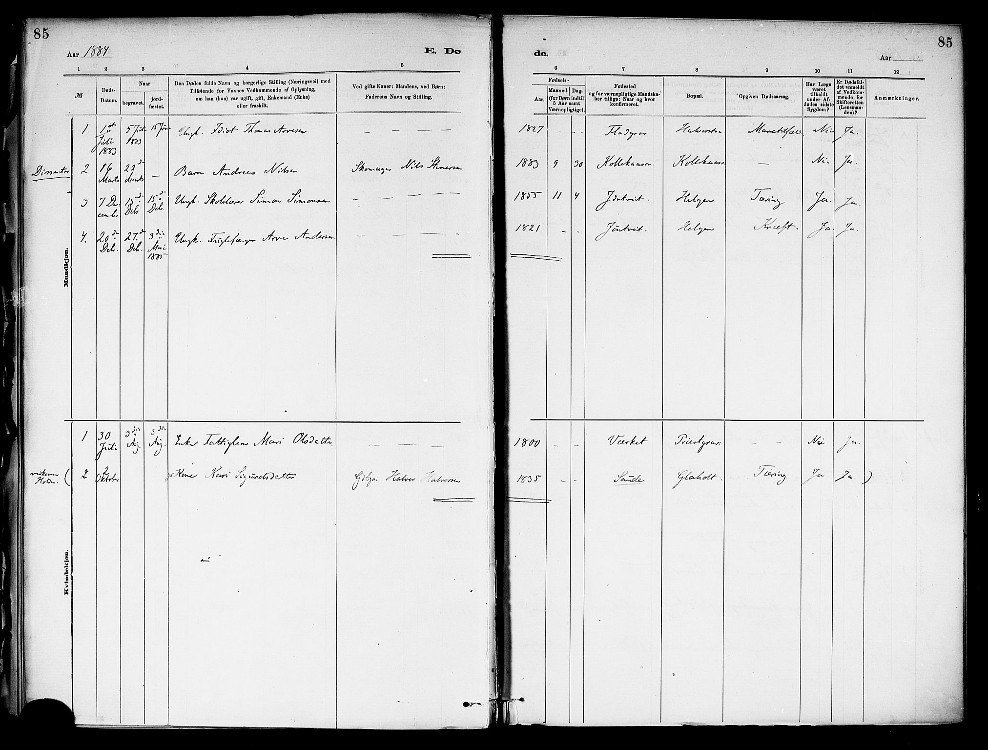 Holla kirkebøker, AV/SAKO-A-272/F/Fa/L0009: Parish register (official) no. 9, 1881-1897, p. 85