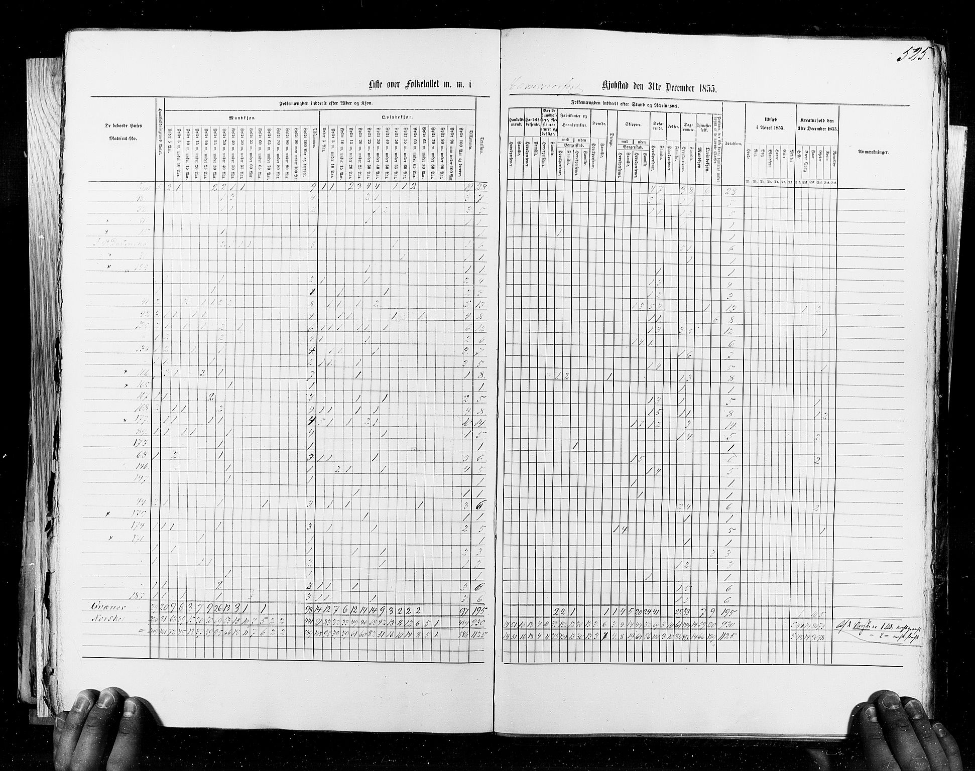 RA, Census 1855, vol. 8: Risør-Vadsø, 1855, p. 525