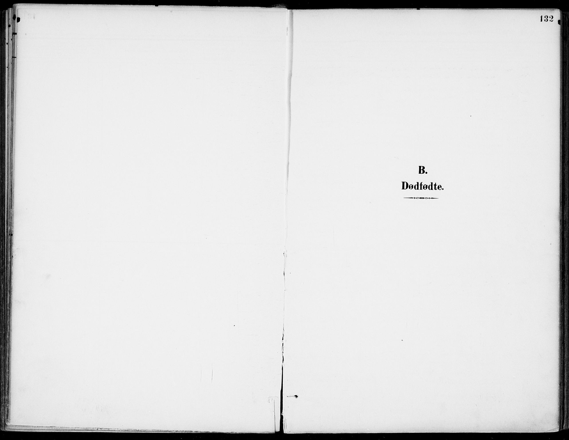 Gjerpen kirkebøker, SAKO/A-265/F/Fa/L0011: Parish register (official) no. I 11, 1896-1904, p. 132