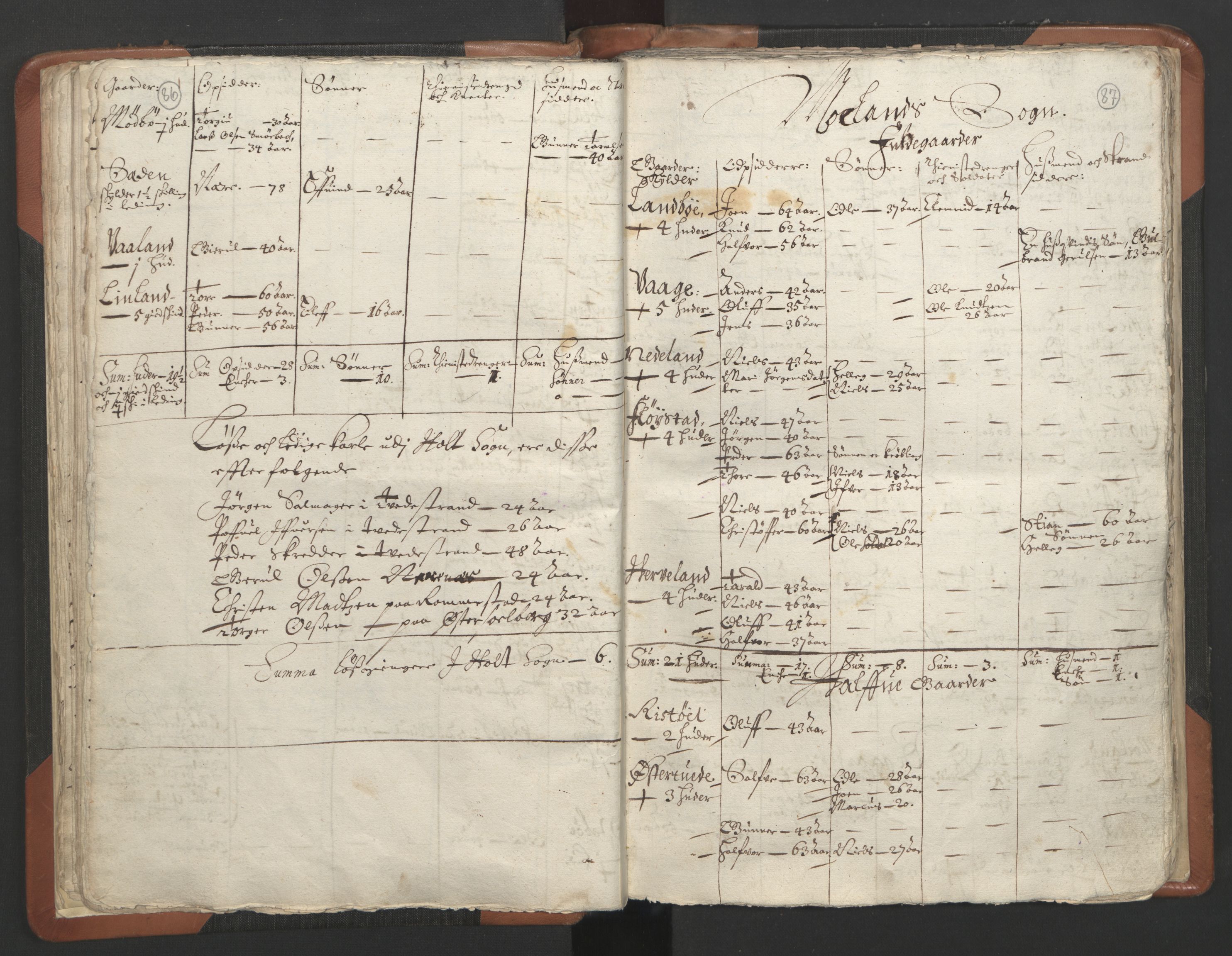 RA, Vicar's Census 1664-1666, no. 13: Nedenes deanery, 1664-1666, p. 86-87