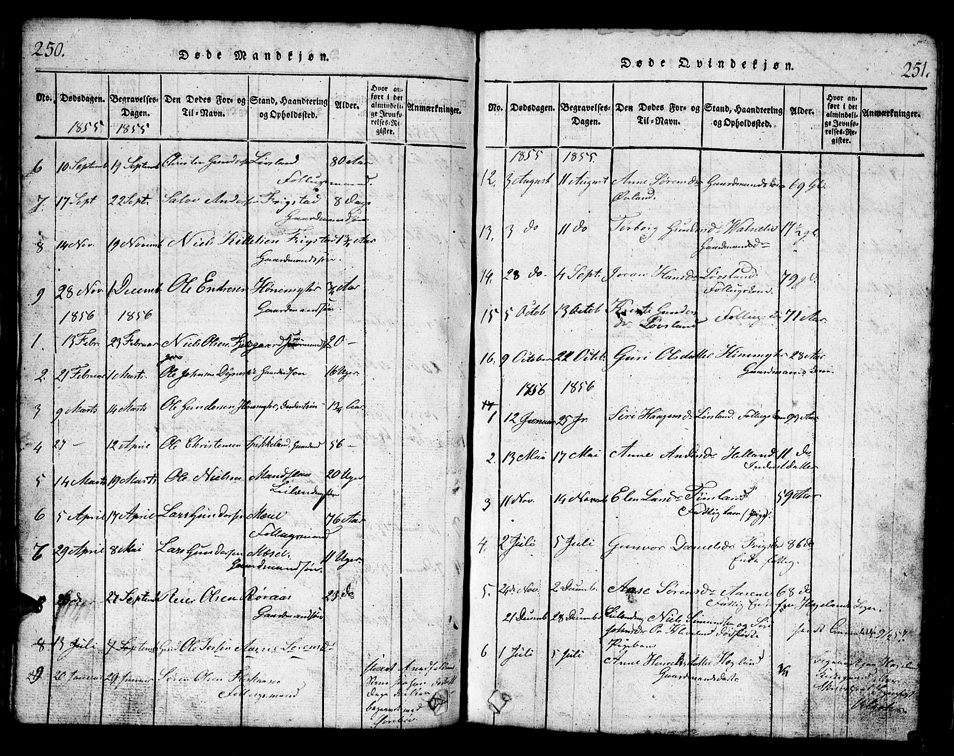 Bjelland sokneprestkontor, SAK/1111-0005/F/Fb/Fbb/L0003: Parish register (copy) no. B 3, 1816-1868, p. 250-251