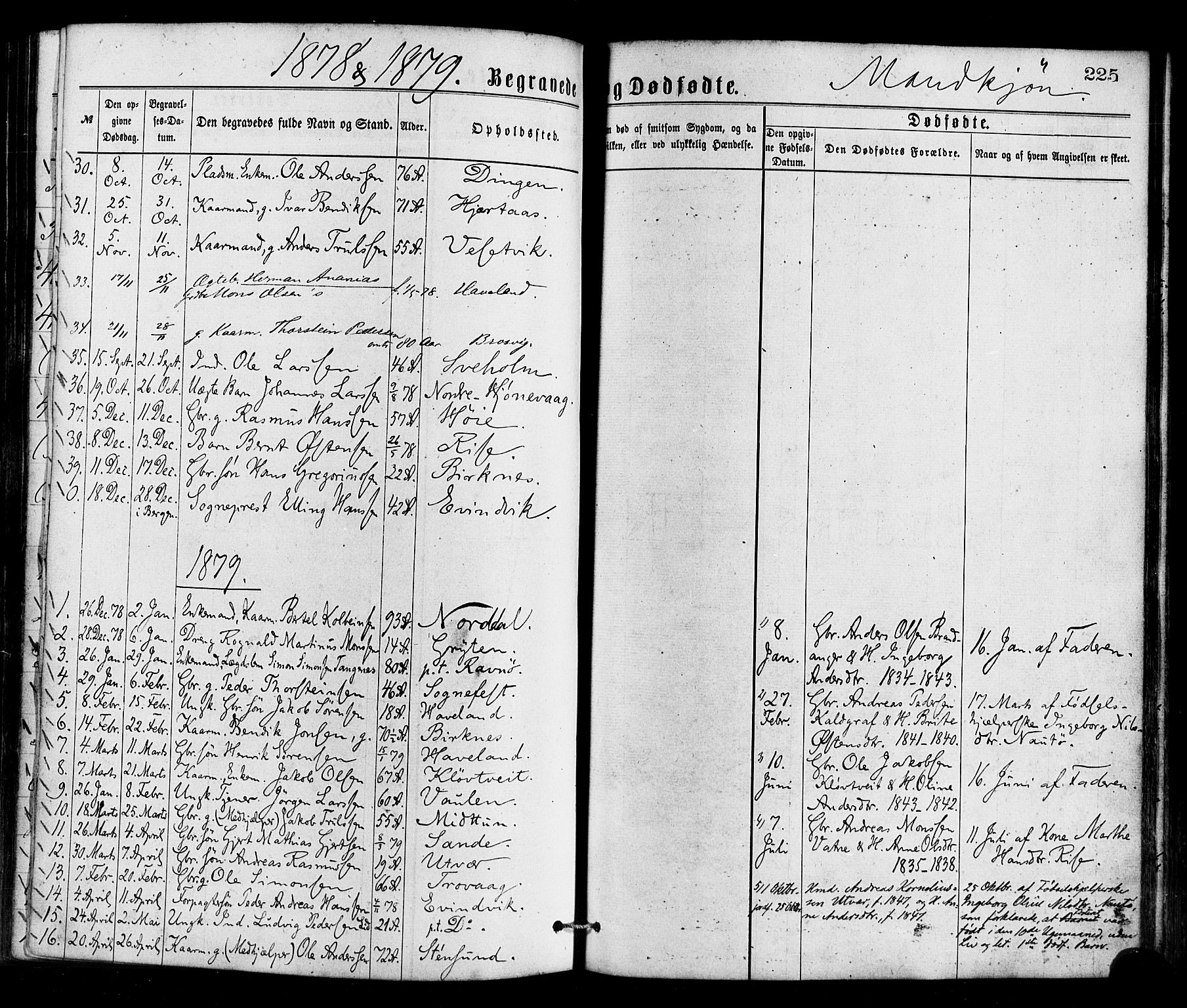 Gulen sokneprestembete, SAB/A-80201/H/Haa/Haaa/L0023: Parish register (official) no. A 23, 1870-1880, p. 225