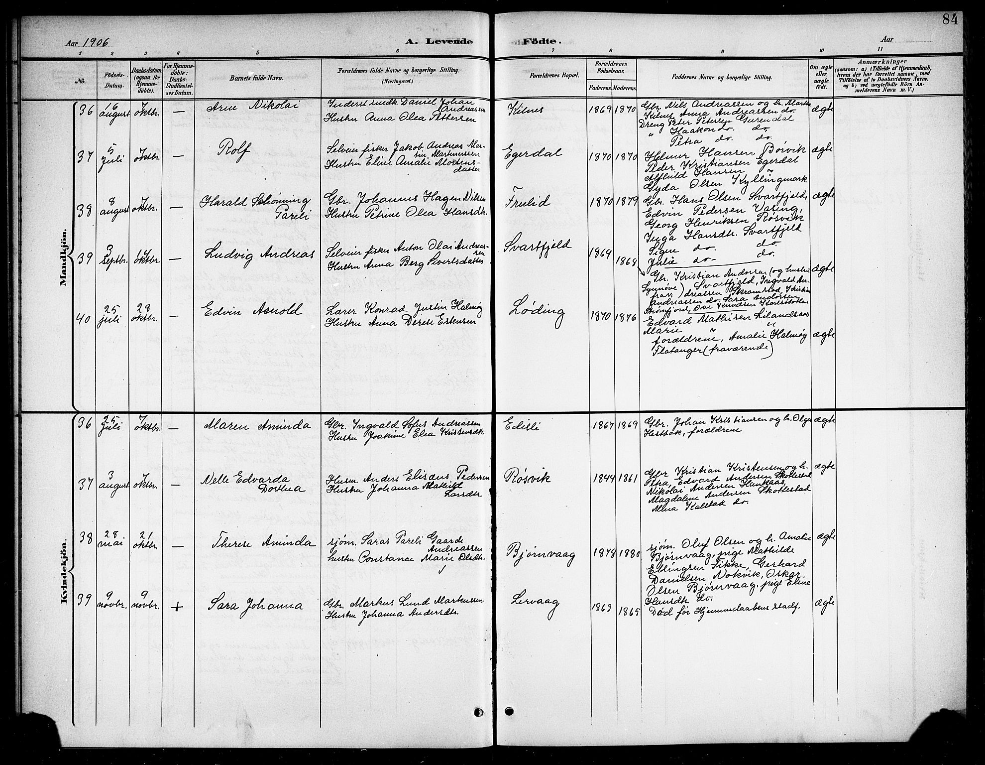 Ministerialprotokoller, klokkerbøker og fødselsregistre - Nordland, SAT/A-1459/859/L0860: Parish register (copy) no. 859C06, 1899-1909, p. 84