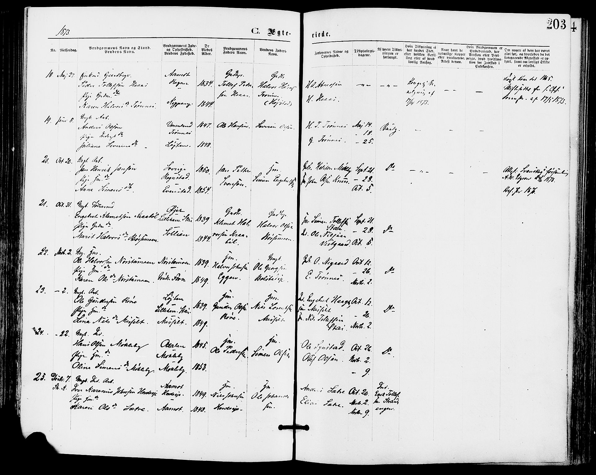 Stor-Elvdal prestekontor, AV/SAH-PREST-052/H/Ha/Haa/L0001: Parish register (official) no. 1, 1871-1882, p. 203