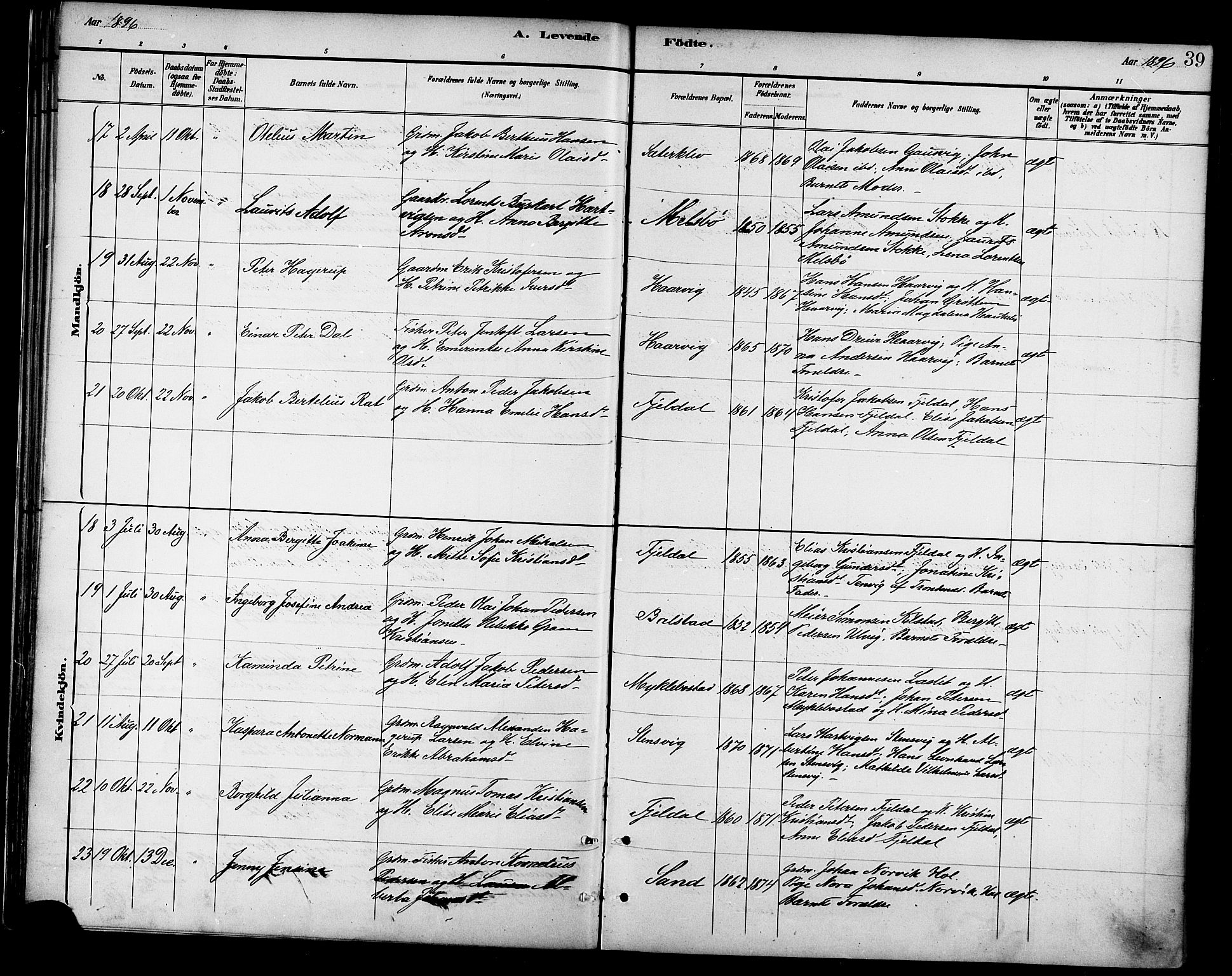 Ministerialprotokoller, klokkerbøker og fødselsregistre - Nordland, SAT/A-1459/865/L0924: Parish register (official) no. 865A02, 1885-1896, p. 39