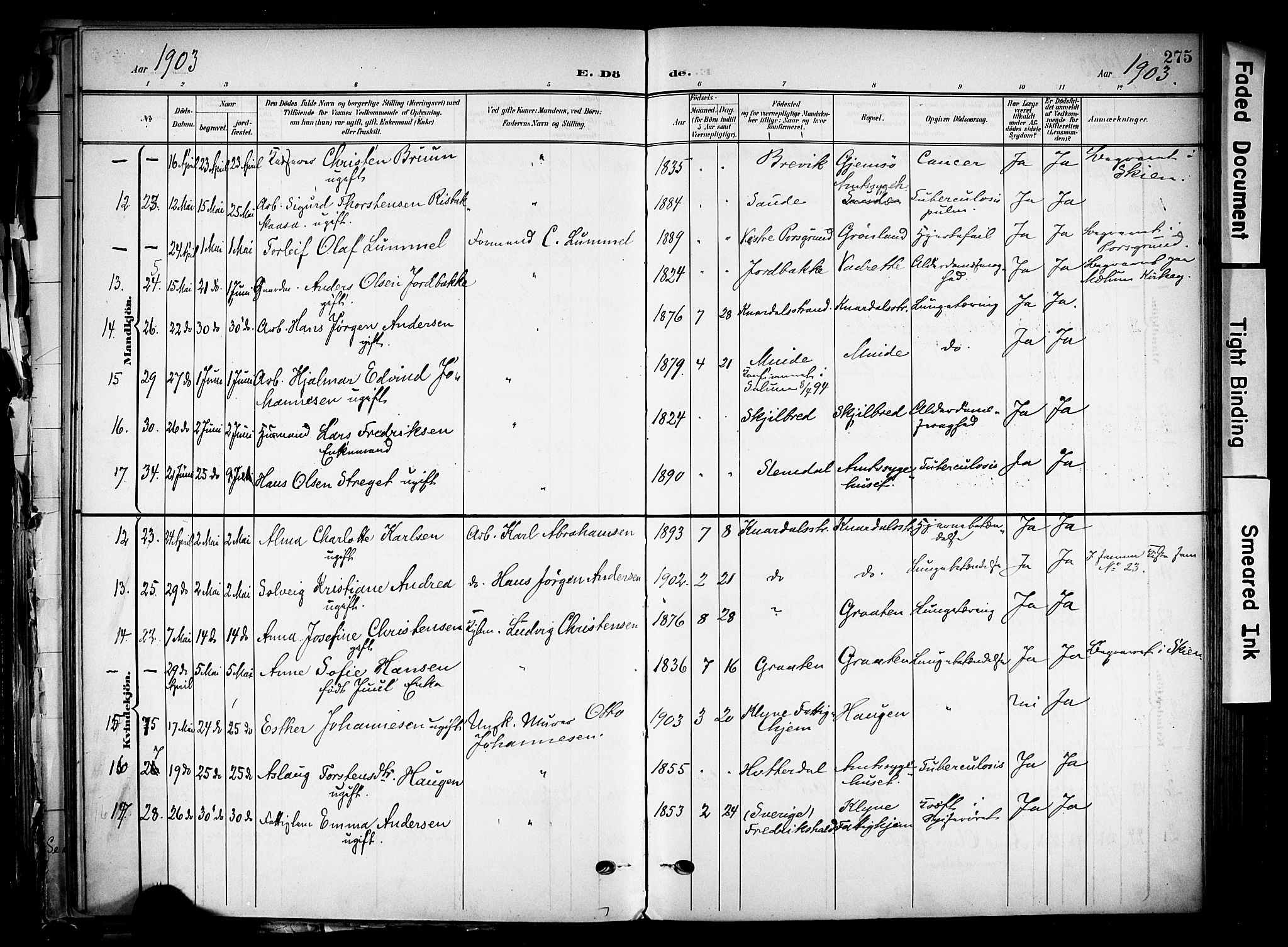 Solum kirkebøker, AV/SAKO-A-306/F/Fa/L0011: Parish register (official) no. I 11, 1898-1909, p. 275