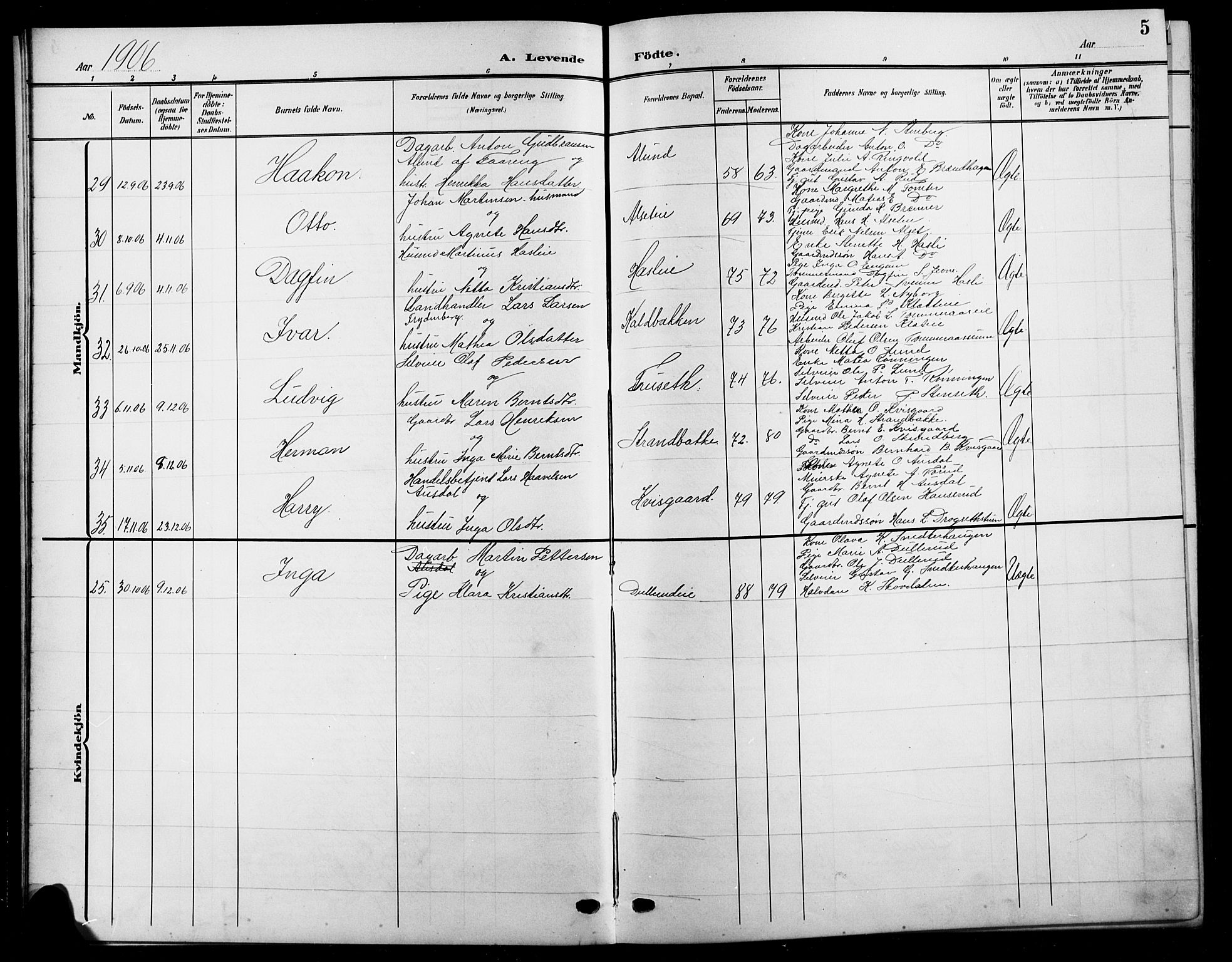 Biri prestekontor, SAH/PREST-096/H/Ha/Hab/L0005: Parish register (copy) no. 5, 1906-1919, p. 5