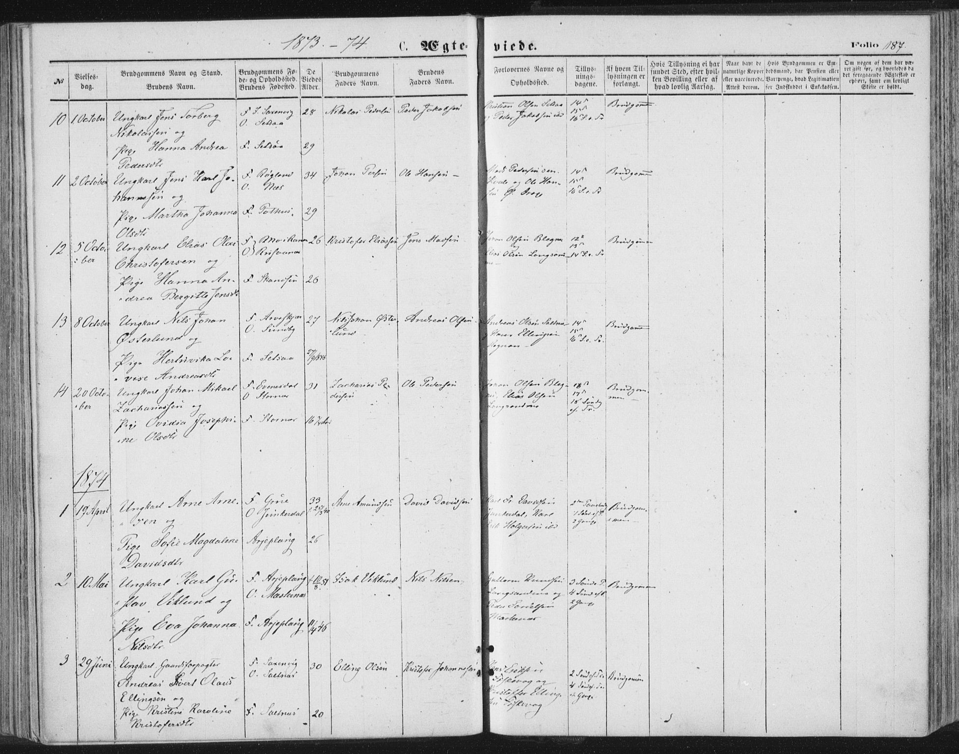 Ministerialprotokoller, klokkerbøker og fødselsregistre - Nordland, SAT/A-1459/847/L0668: Parish register (official) no. 847A08, 1872-1886, p. 187