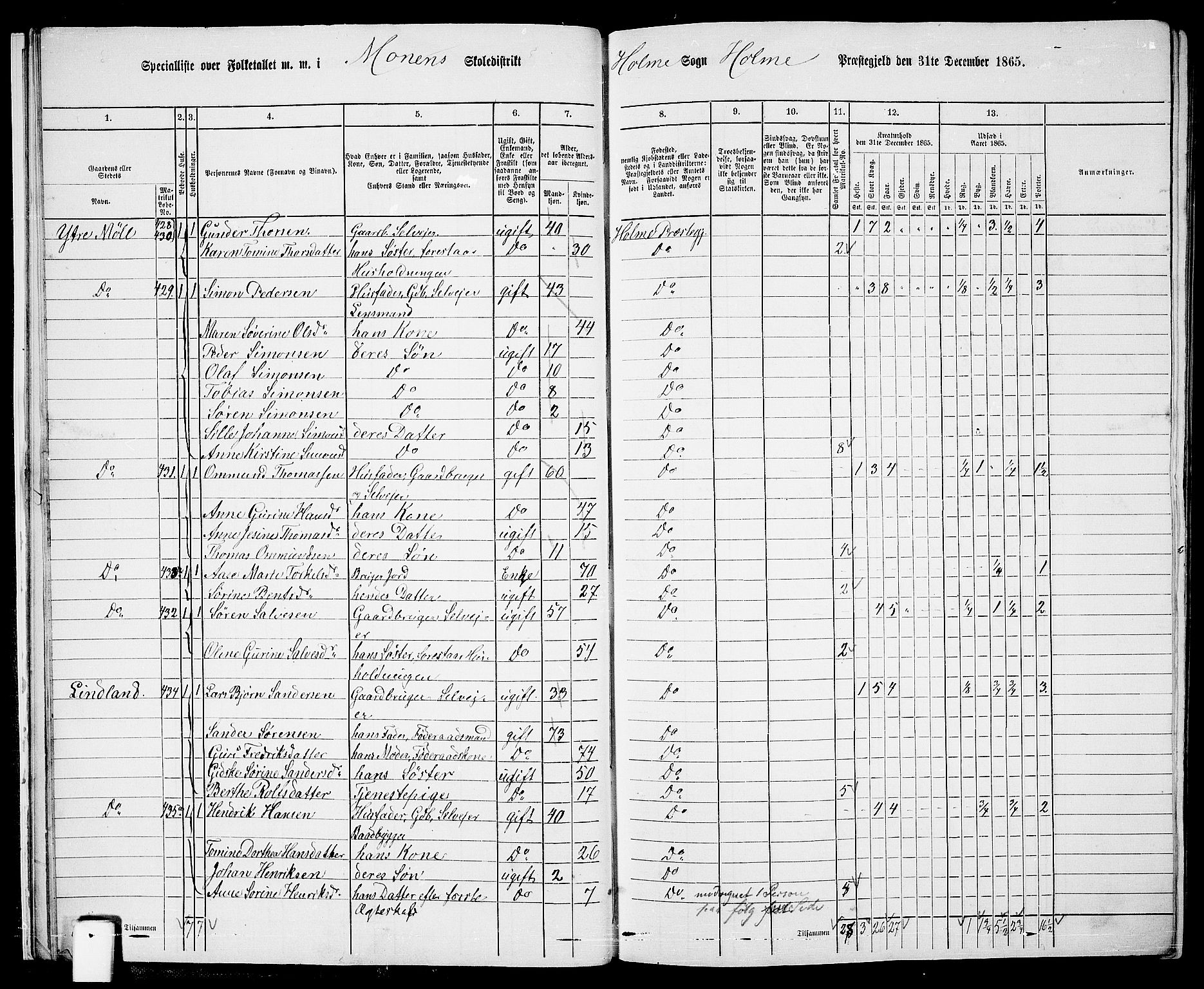 RA, 1865 census for Holum, 1865, p. 21