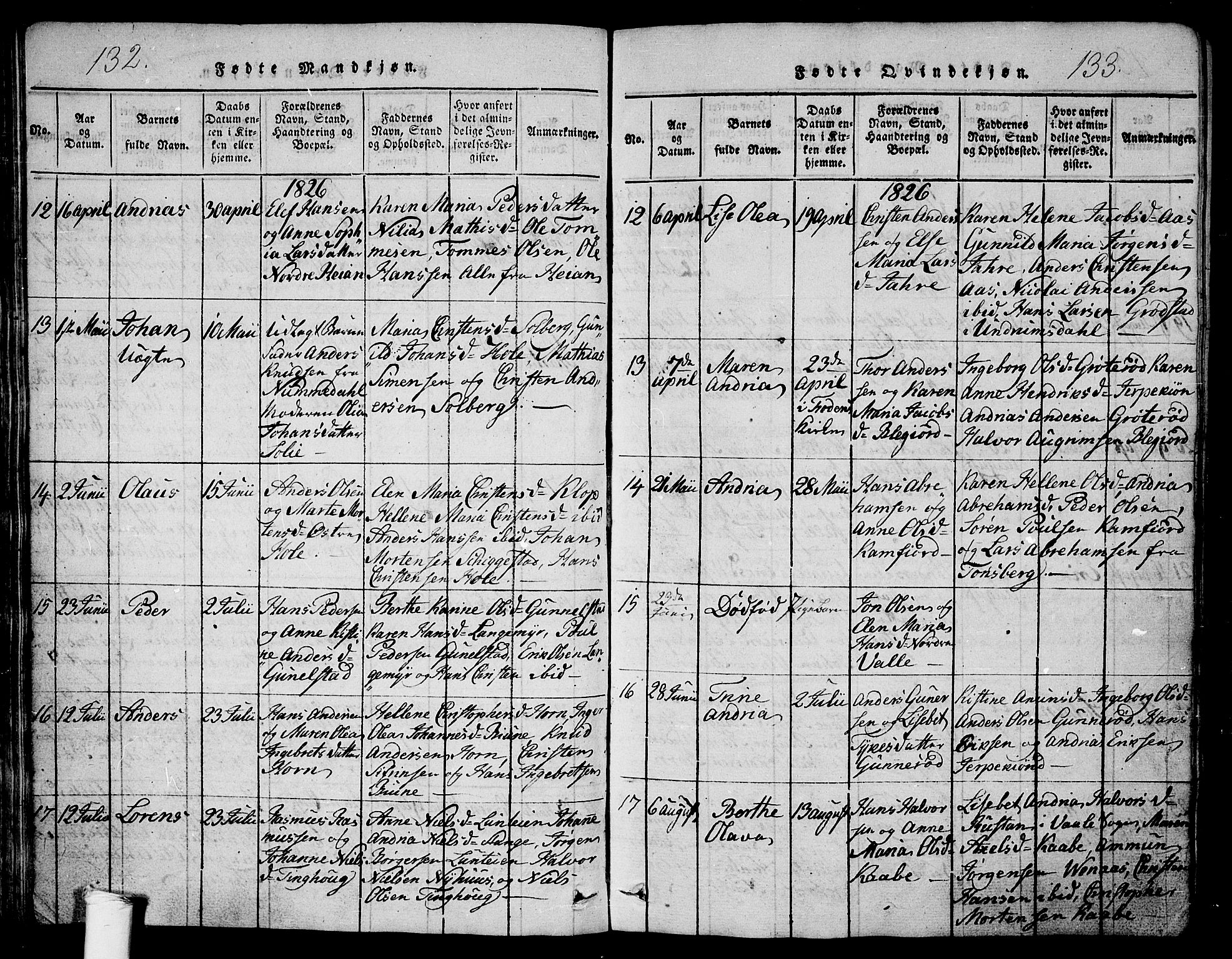 Ramnes kirkebøker, SAKO/A-314/G/Ga/L0001: Parish register (copy) no. I 1, 1813-1847, p. 132-133