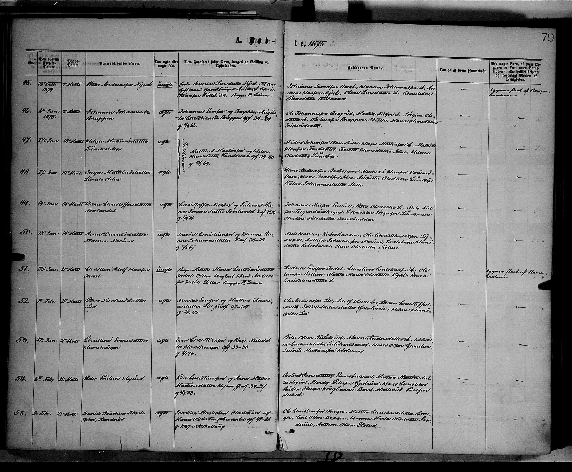 Vestre Toten prestekontor, AV/SAH-PREST-108/H/Ha/Haa/L0008: Parish register (official) no. 8, 1870-1877, p. 79