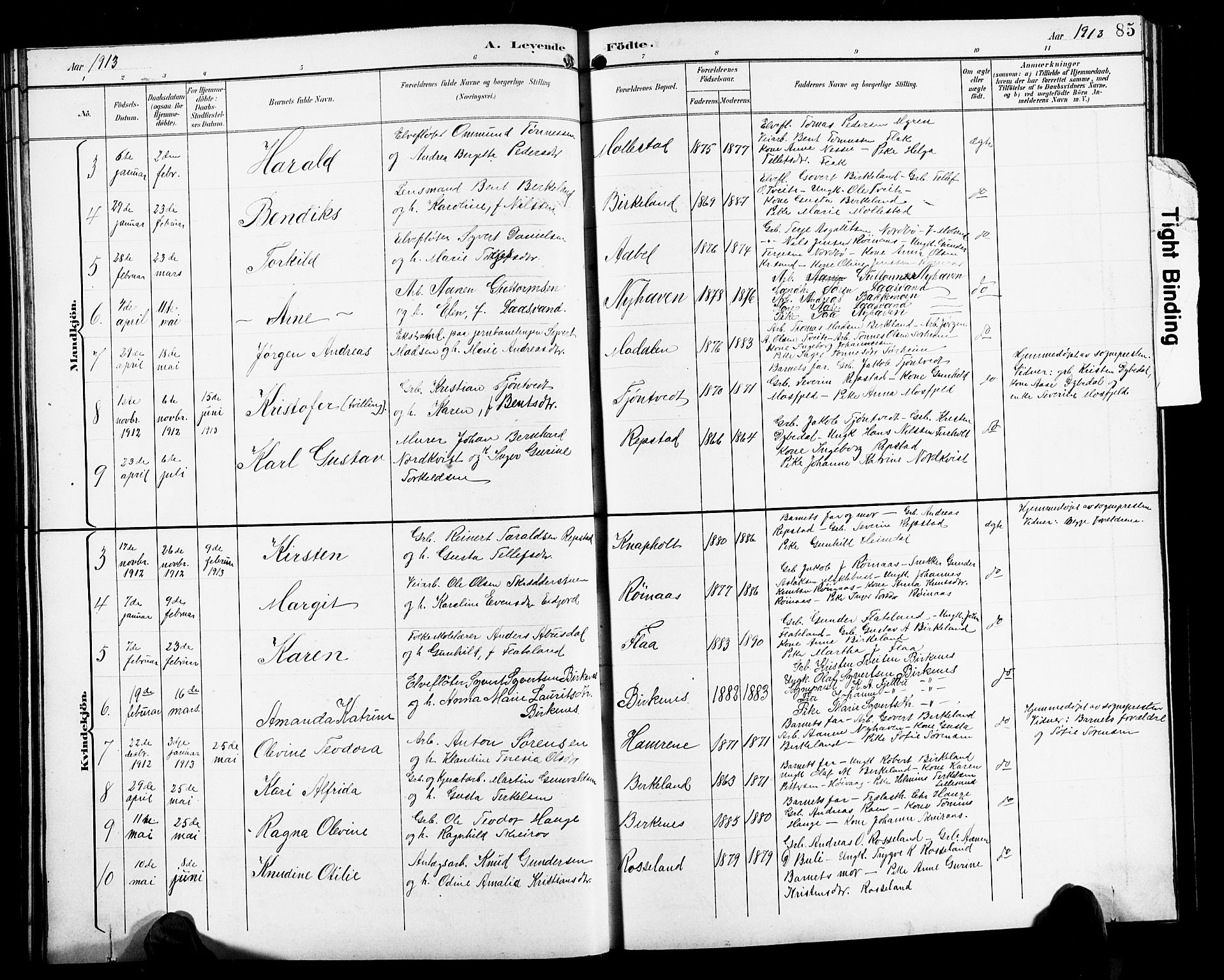Birkenes sokneprestkontor, SAK/1111-0004/F/Fb/L0004: Parish register (copy) no. B 4, 1893-1930, p. 85