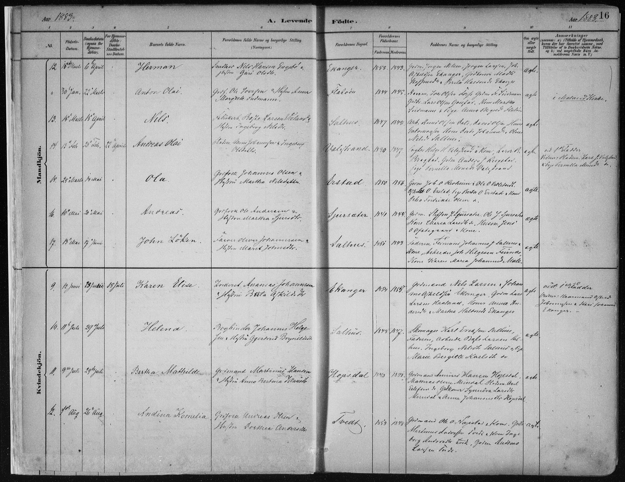 Hamre sokneprestembete, AV/SAB-A-75501/H/Ha/Haa/Haab/L0001: Parish register (official) no. B  1, 1882-1905, p. 16