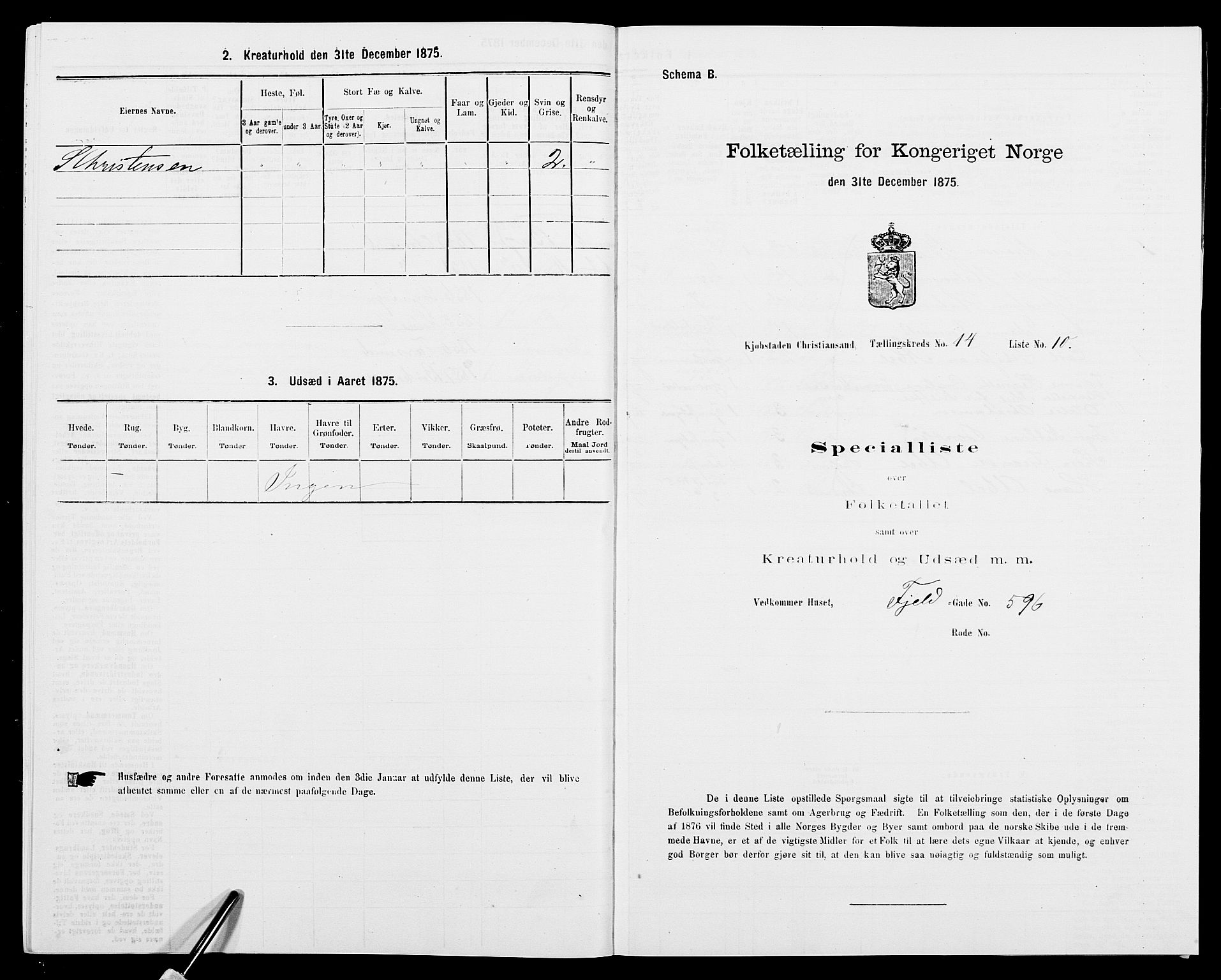 SAK, 1875 census for 1001P Kristiansand, 1875, p. 2194