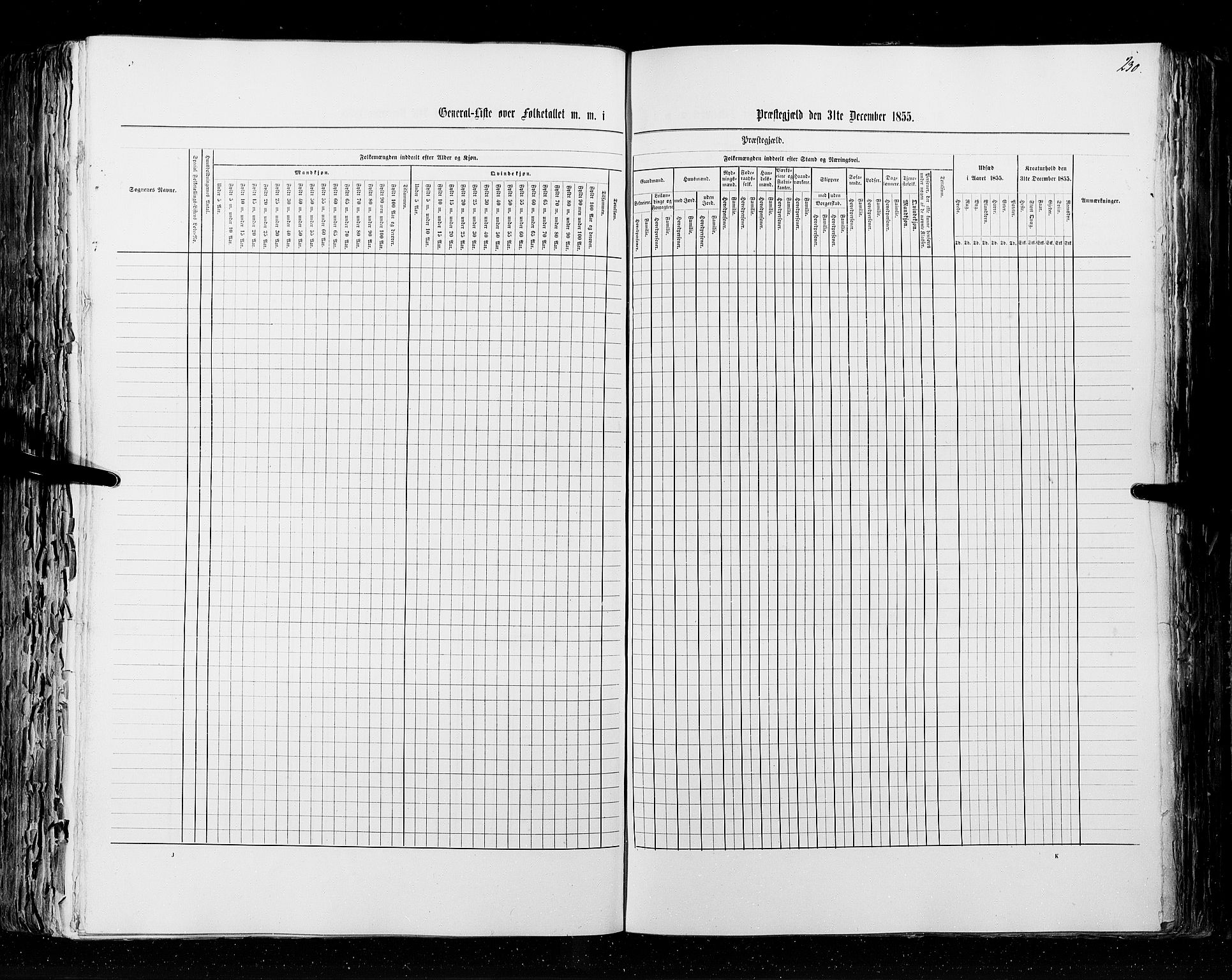 RA, Census 1855, vol. 2: Kristians amt, Buskerud amt og Jarlsberg og Larvik amt, 1855, p. 230