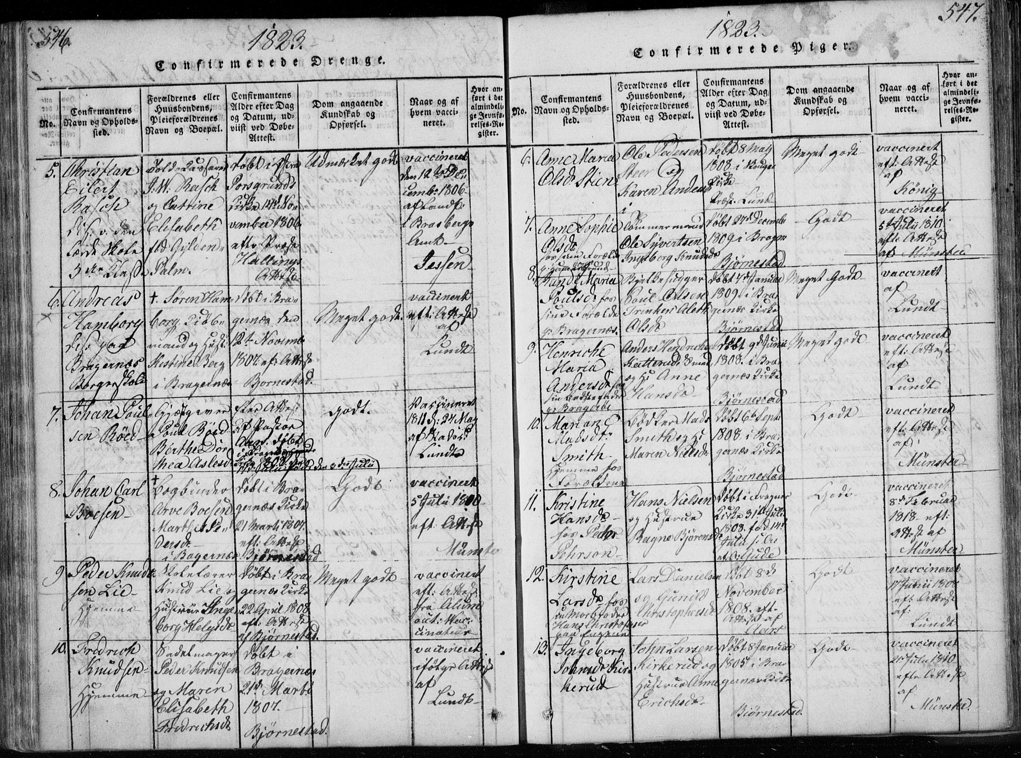 Bragernes kirkebøker, AV/SAKO-A-6/F/Fa/L0007: Parish register (official) no. I 7, 1815-1829, p. 546-547