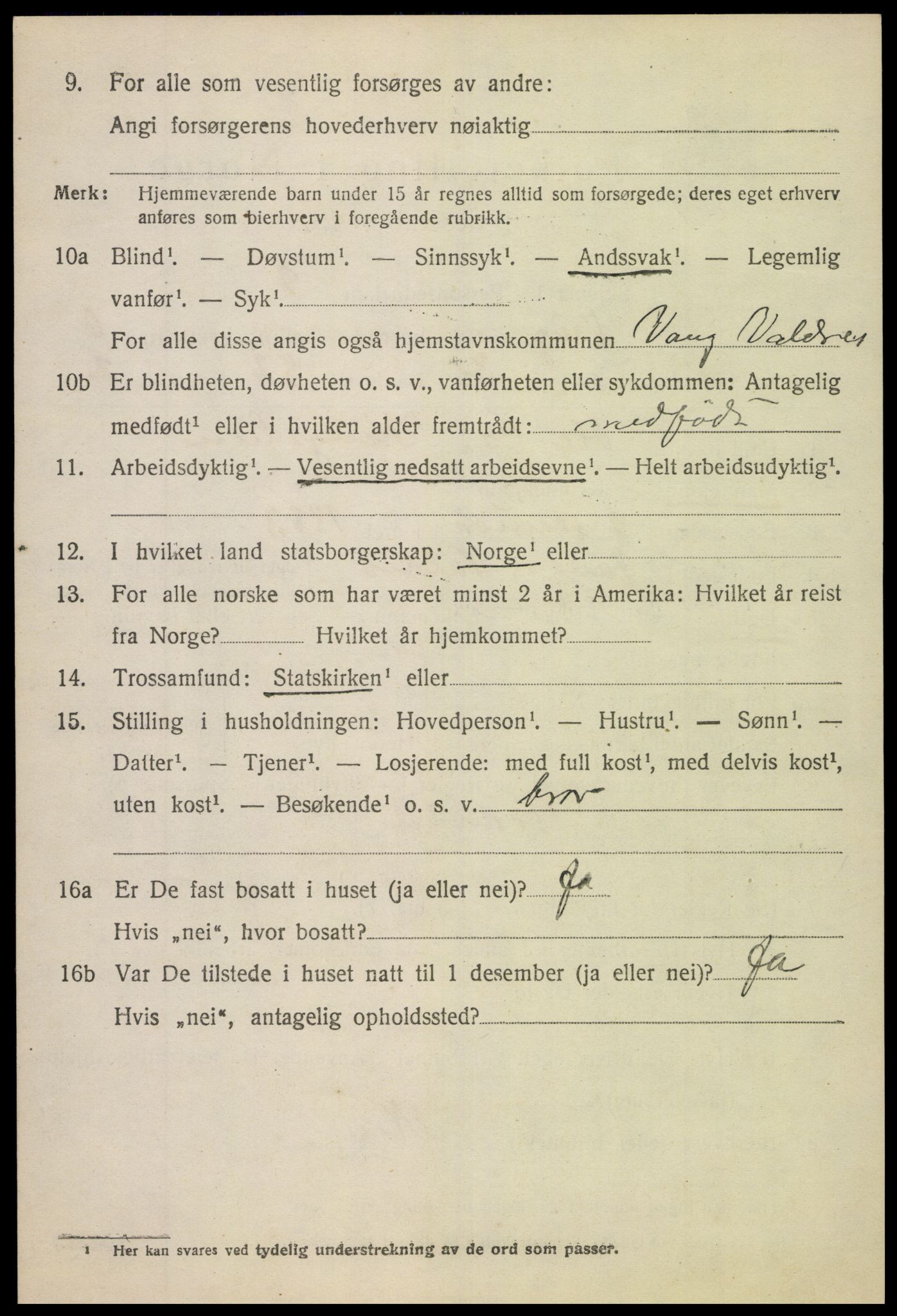 SAH, 1920 census for Vang (Oppland), 1920, p. 3074