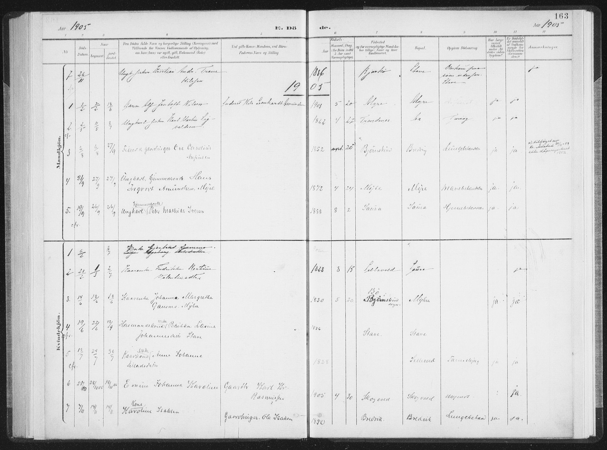 Ministerialprotokoller, klokkerbøker og fødselsregistre - Nordland, AV/SAT-A-1459/897/L1400: Parish register (official) no. 897A07, 1897-1908, p. 163