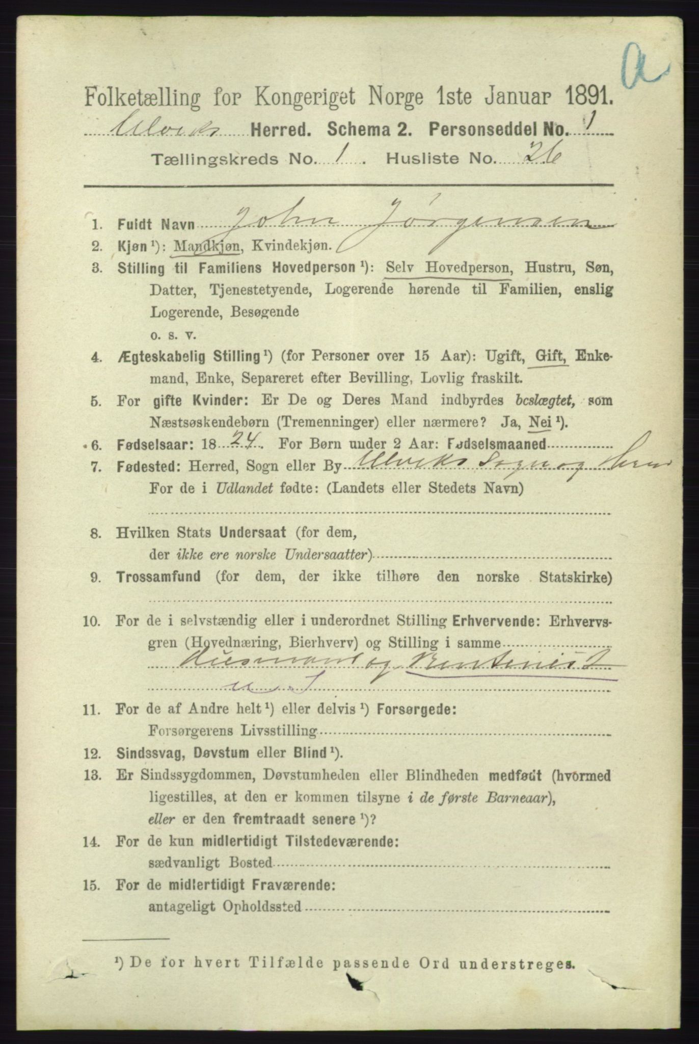 RA, 1891 census for 1233 Ulvik, 1891, p. 211