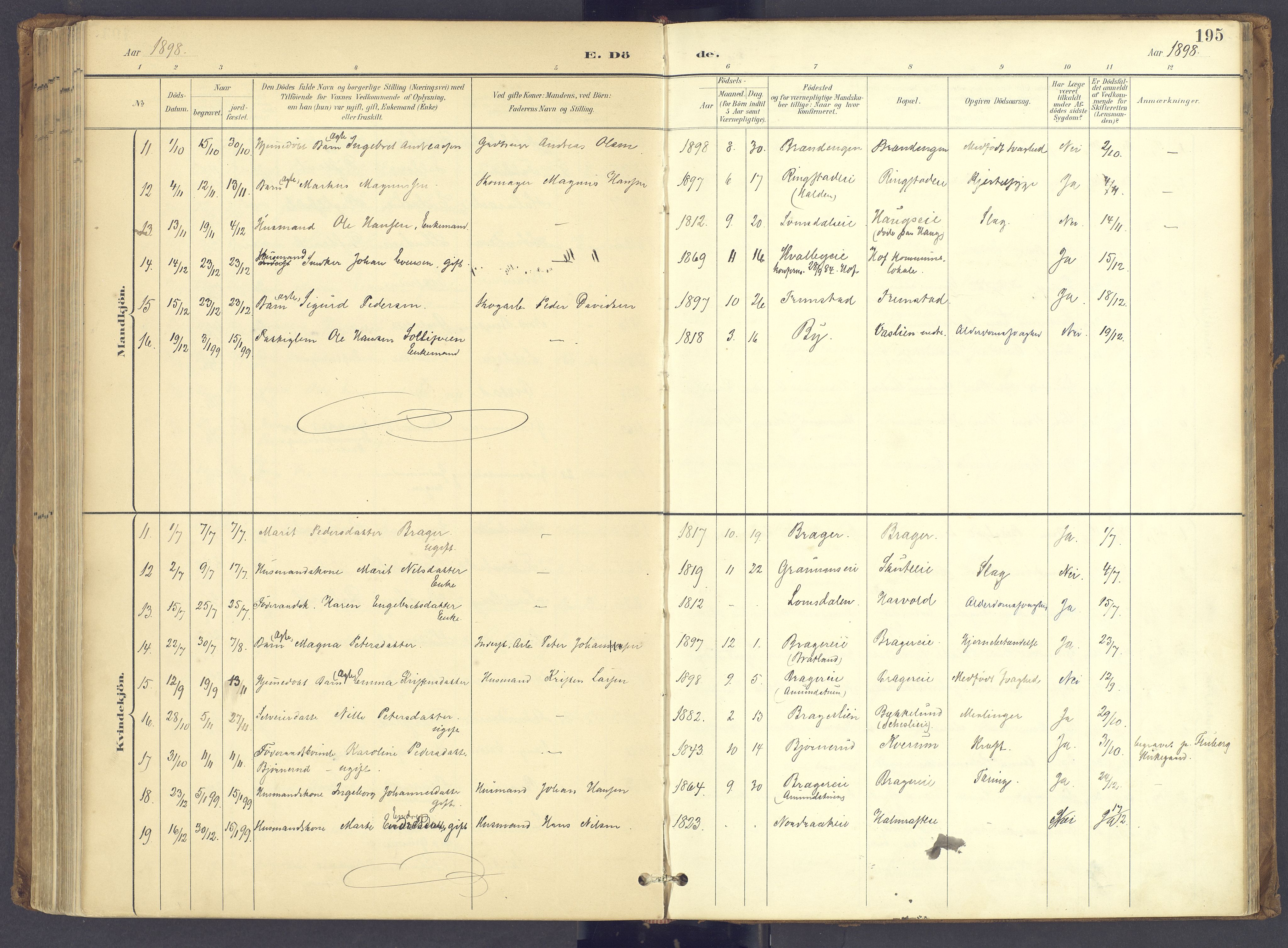 Søndre Land prestekontor, SAH/PREST-122/K/L0006: Parish register (official) no. 6, 1895-1904, p. 195