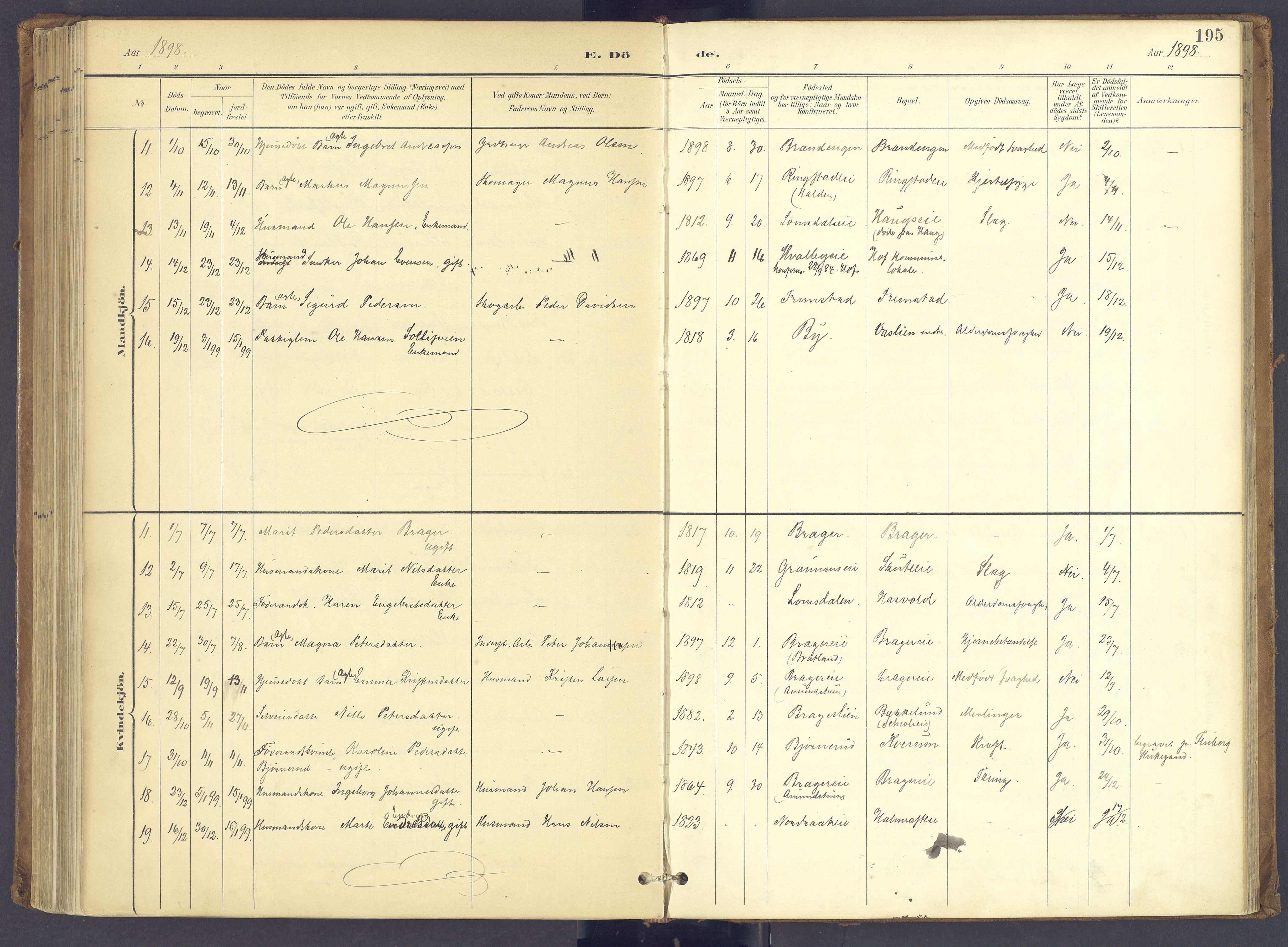 Søndre Land prestekontor, AV/SAH-PREST-122/K/L0006: Parish register (official) no. 6, 1895-1904, p. 195