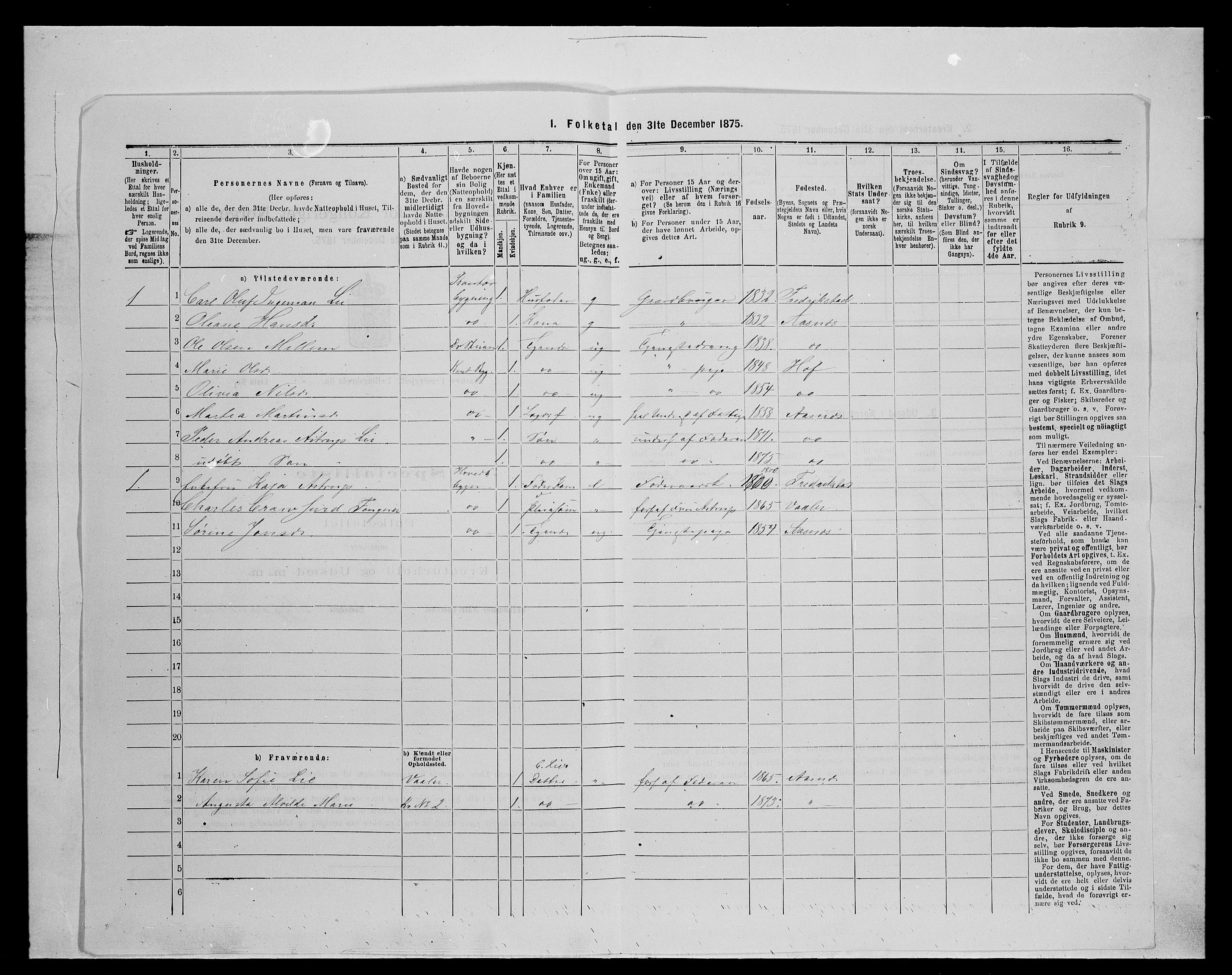 SAH, 1875 census for 0425P Åsnes, 1875, p. 311