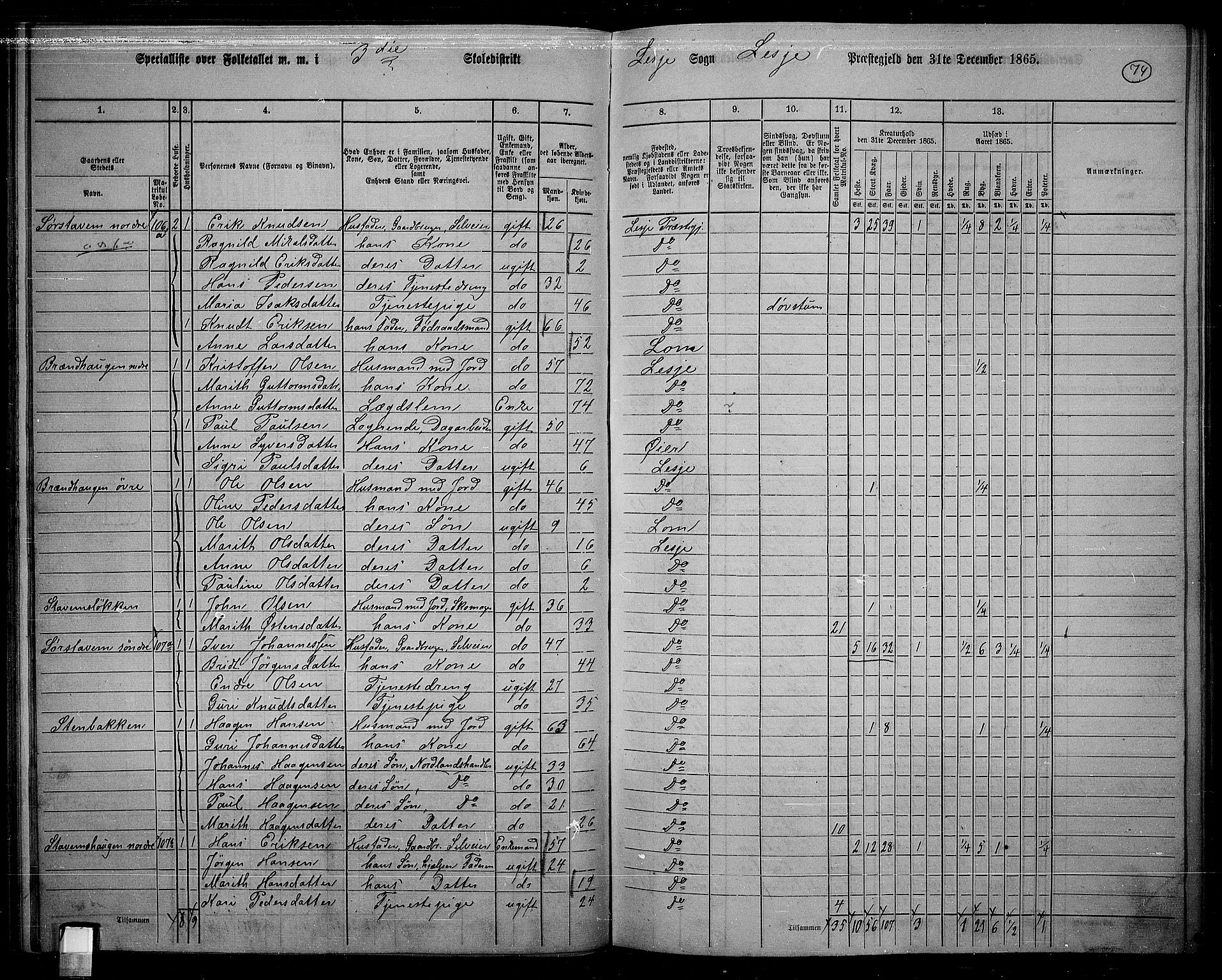 RA, 1865 census for Lesja, 1865, p. 64