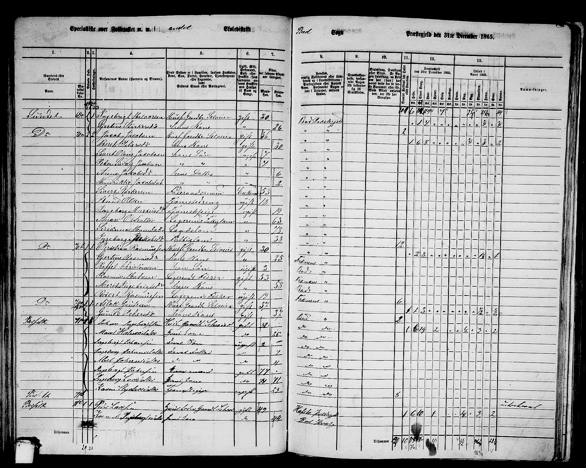 RA, 1865 census for Bud, 1865, p. 54