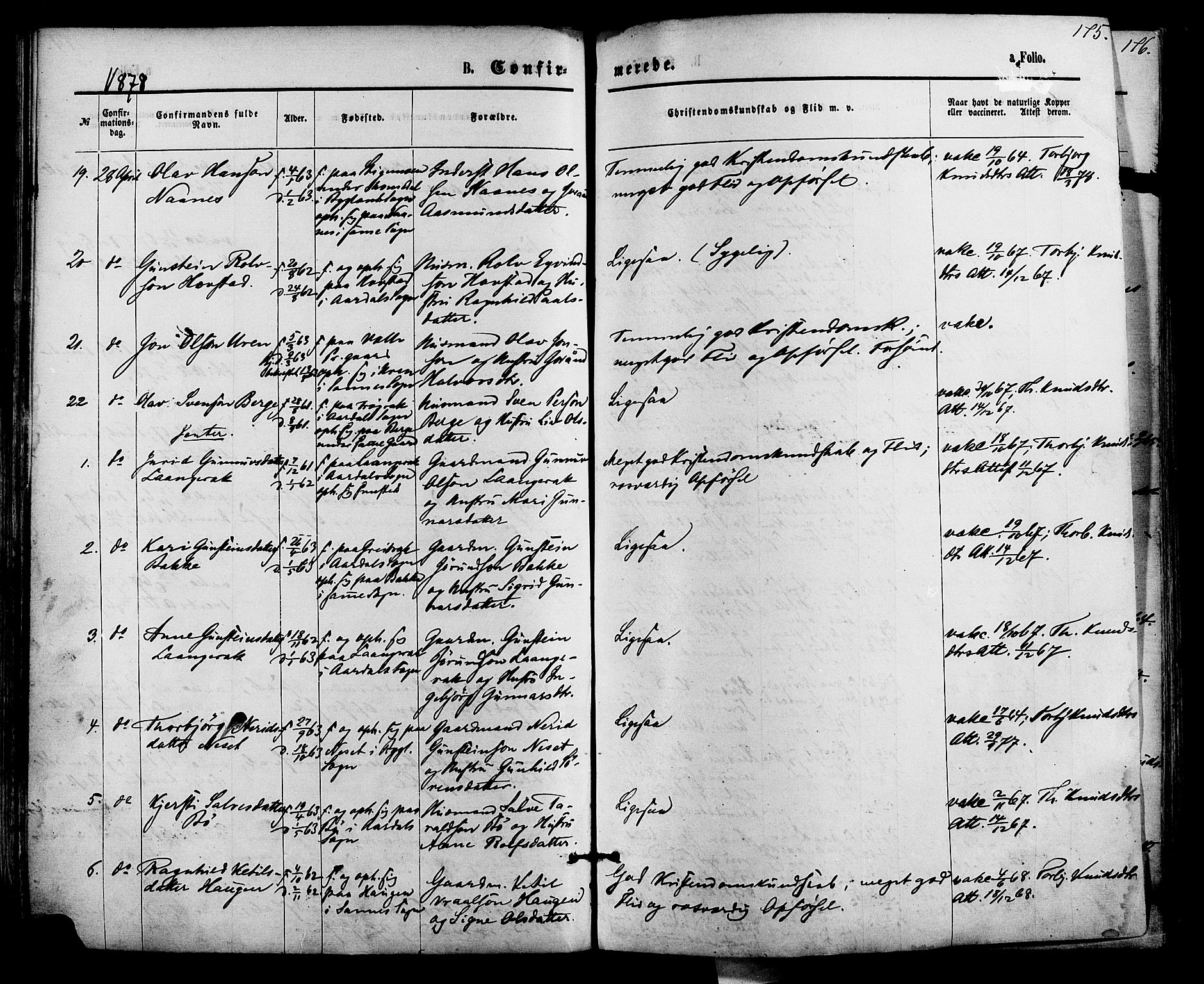 Bygland sokneprestkontor, AV/SAK-1111-0006/F/Fa/Fab/L0006: Parish register (official) no. A 6, 1873-1884, p. 175