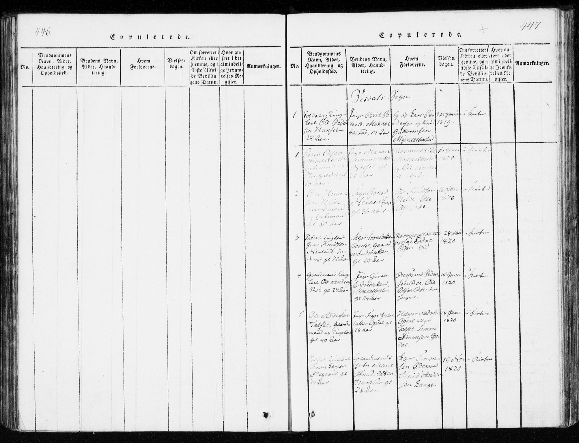 Ministerialprotokoller, klokkerbøker og fødselsregistre - Møre og Romsdal, SAT/A-1454/551/L0623: Parish register (official) no. 551A03, 1818-1831, p. 446-447