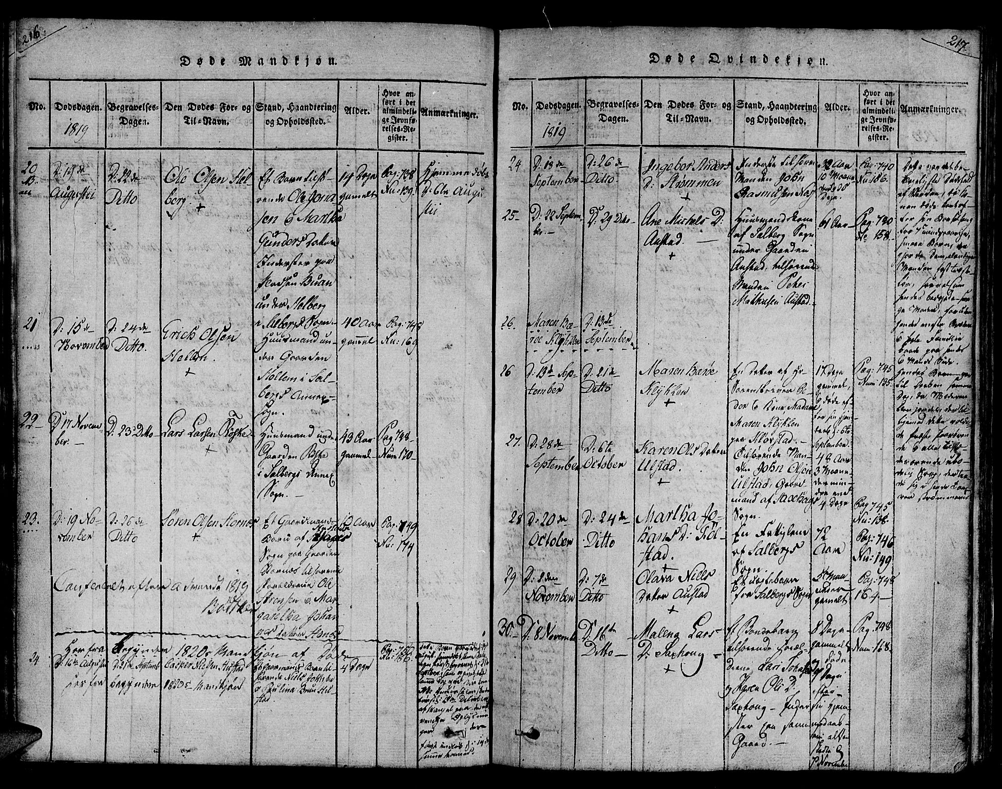 Ministerialprotokoller, klokkerbøker og fødselsregistre - Nord-Trøndelag, AV/SAT-A-1458/730/L0275: Parish register (official) no. 730A04, 1816-1822, p. 216-217