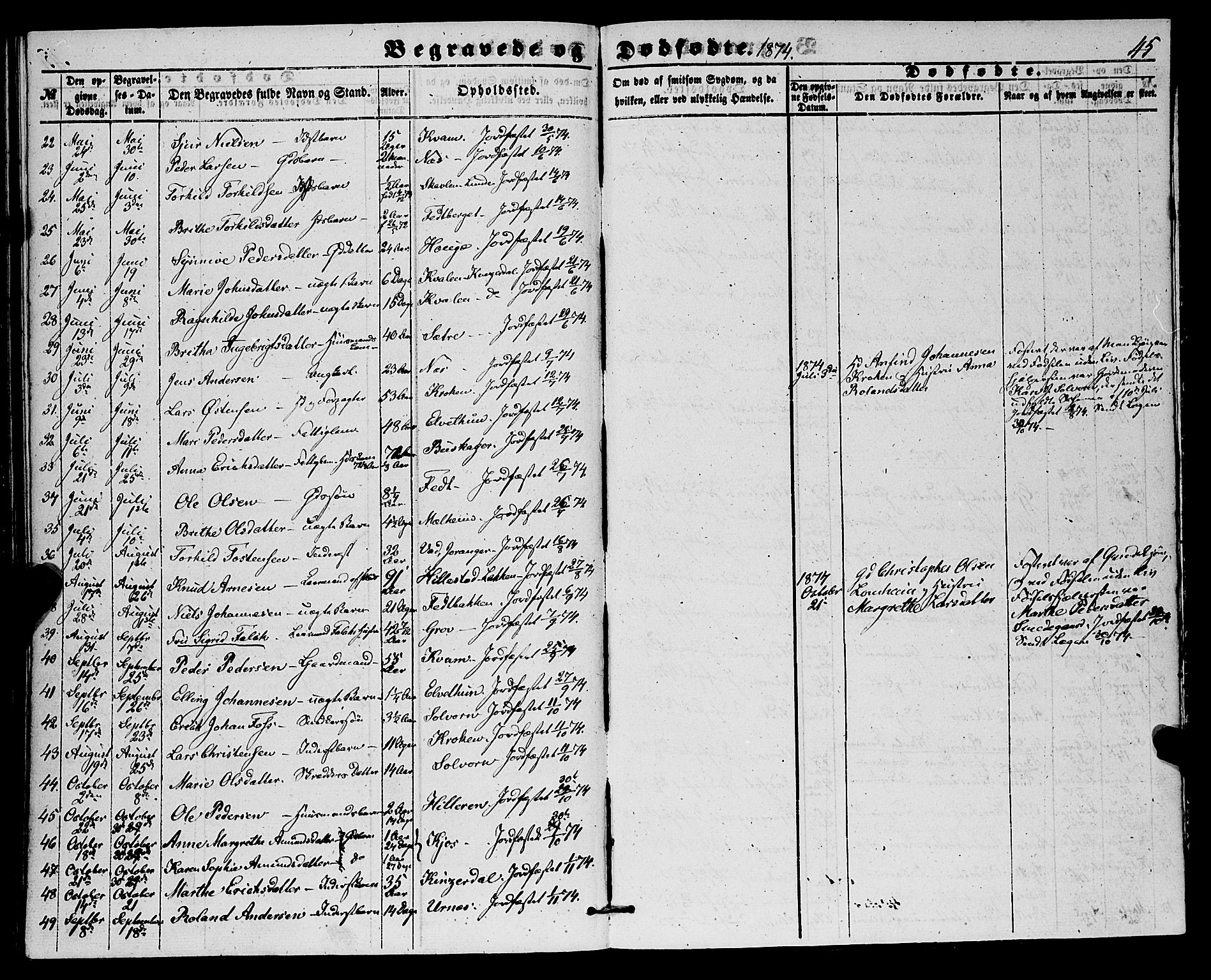 Hafslo sokneprestembete, SAB/A-80301/H/Haa/Haaa/L0010: Parish register (official) no. A 10, 1853-1876, p. 45