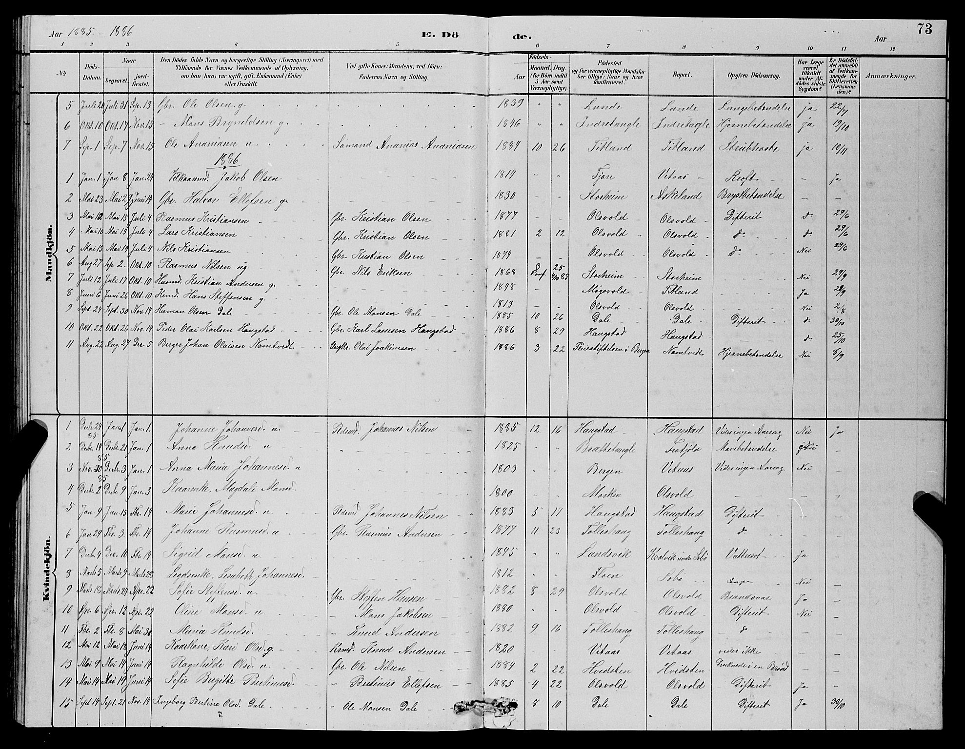Manger sokneprestembete, SAB/A-76801/H/Hab: Parish register (copy) no. D 2, 1883-1894, p. 73