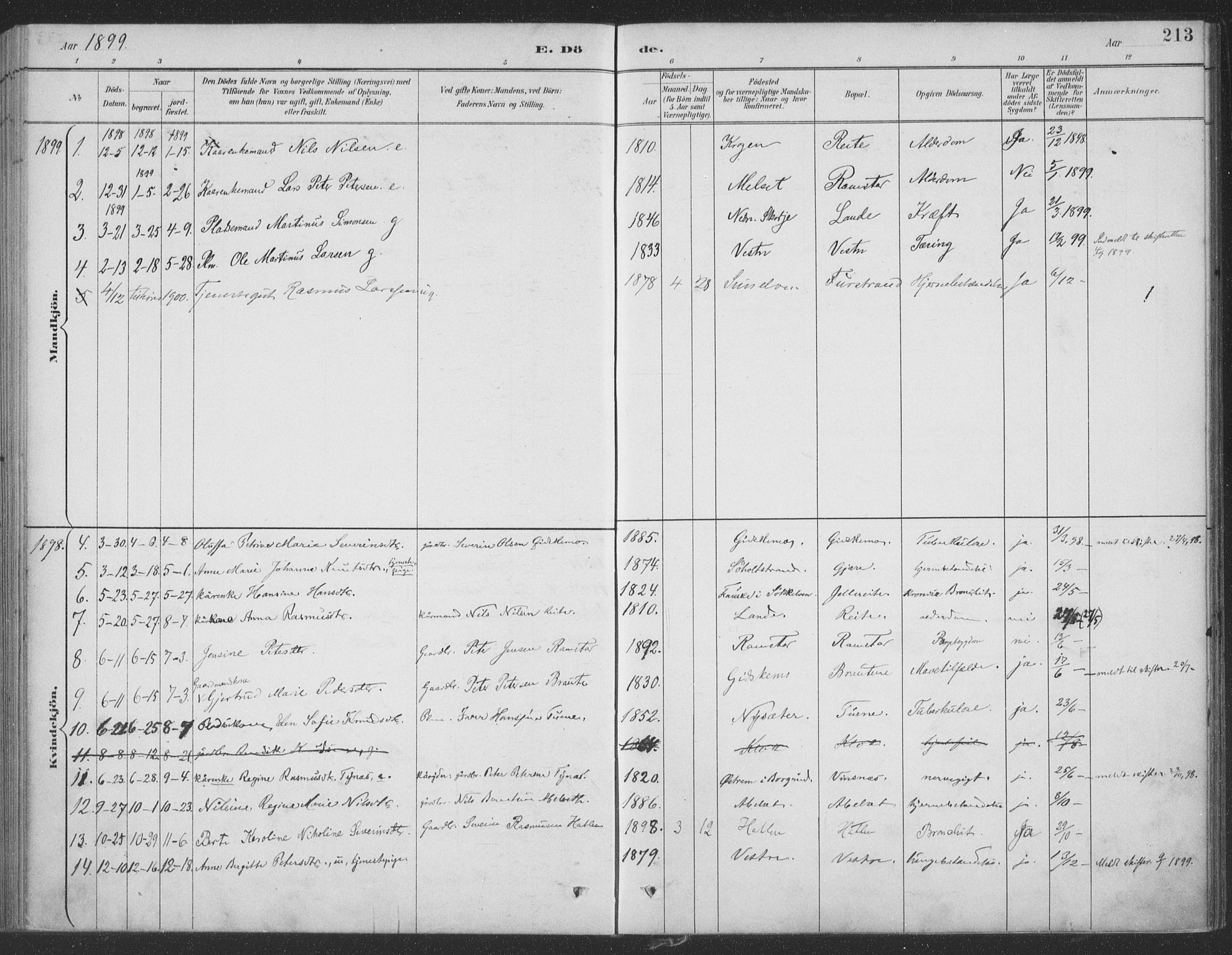 Ministerialprotokoller, klokkerbøker og fødselsregistre - Møre og Romsdal, AV/SAT-A-1454/522/L0316: Parish register (official) no. 522A11, 1890-1911, p. 213