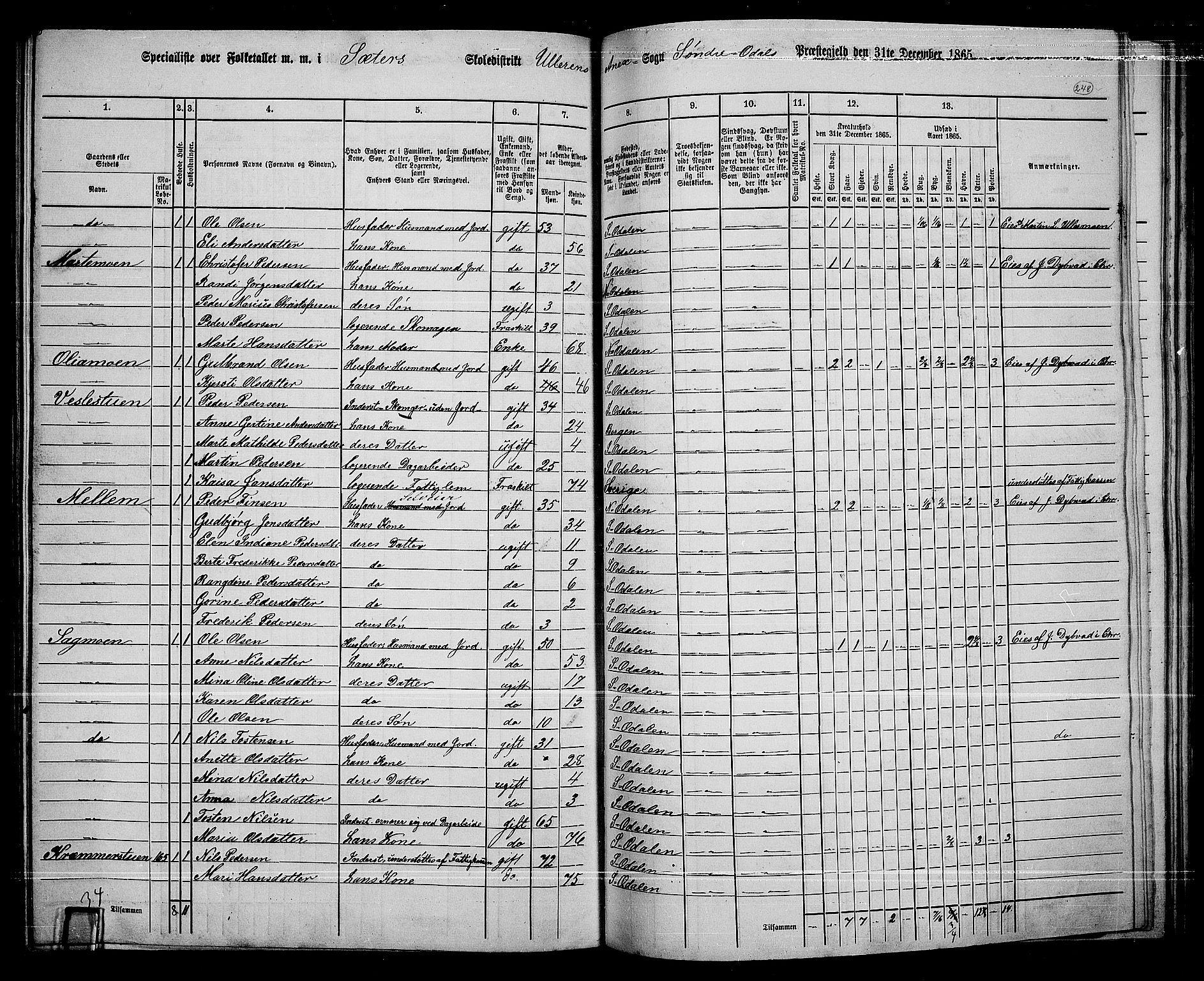 RA, 1865 census for Sør-Odal, 1865, p. 218